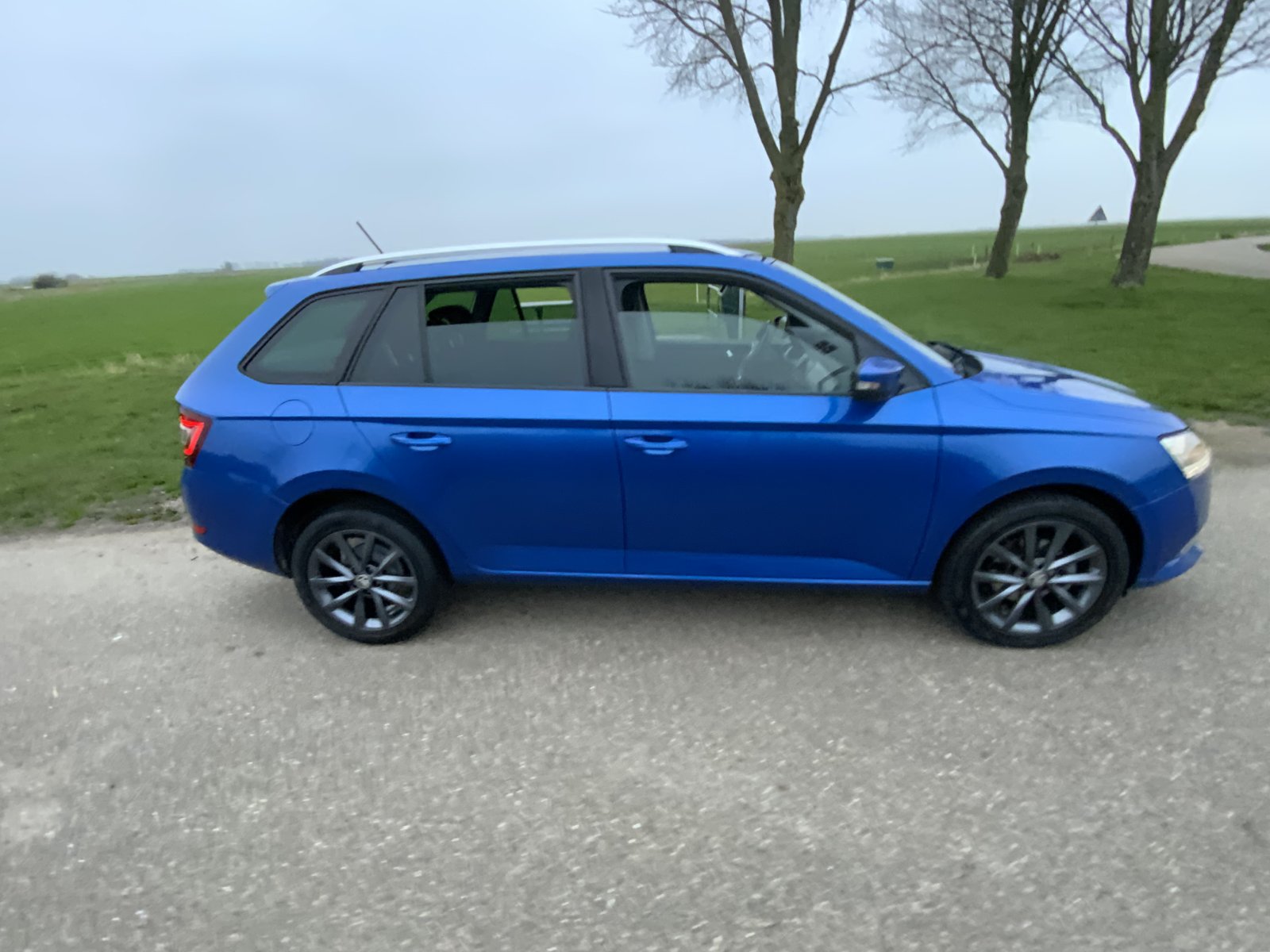 Inspectiefoto van Skoda Fabia Combi