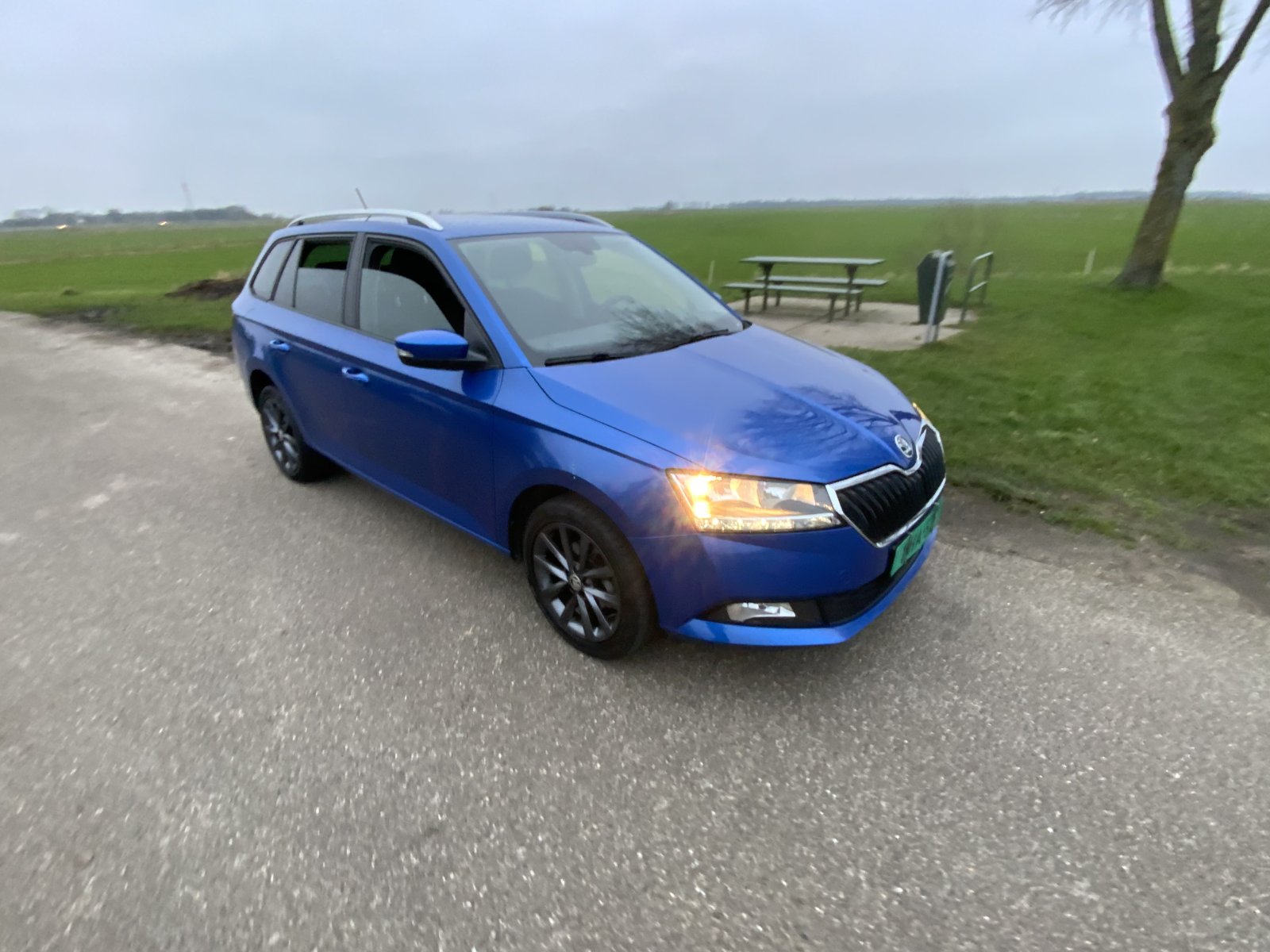 Inspectiefoto van Skoda Fabia Combi