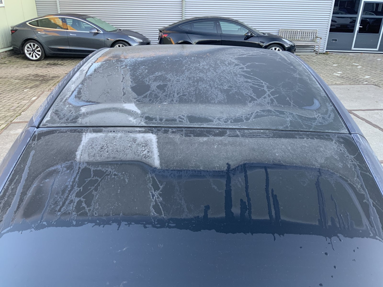 Inspectiefoto van Tesla Model Y