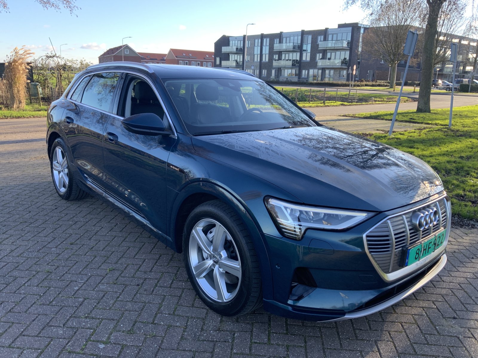 Inspectiefoto van Audi E-tron