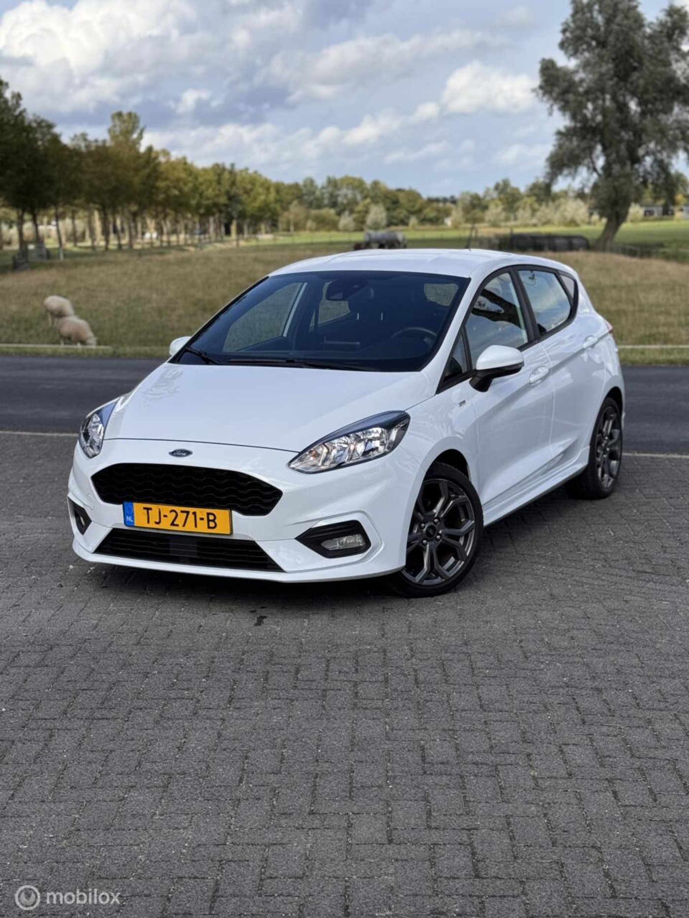 Foto van Ford Fiesta