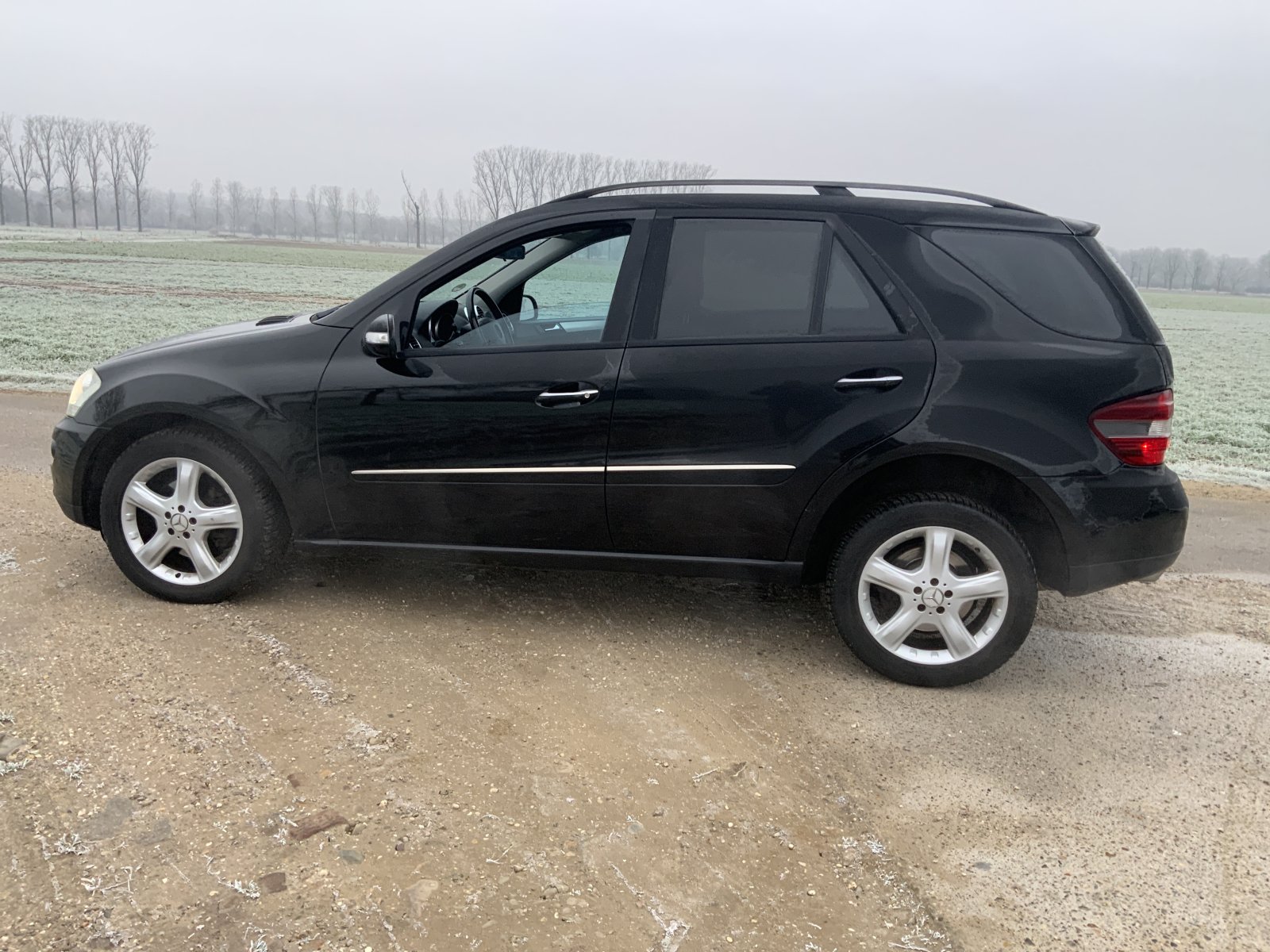 Inspectiefoto van Mercedes-Benz M-klasse
