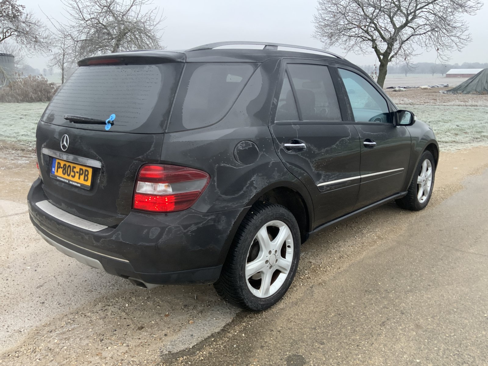 Inspectiefoto van Mercedes-Benz M-klasse