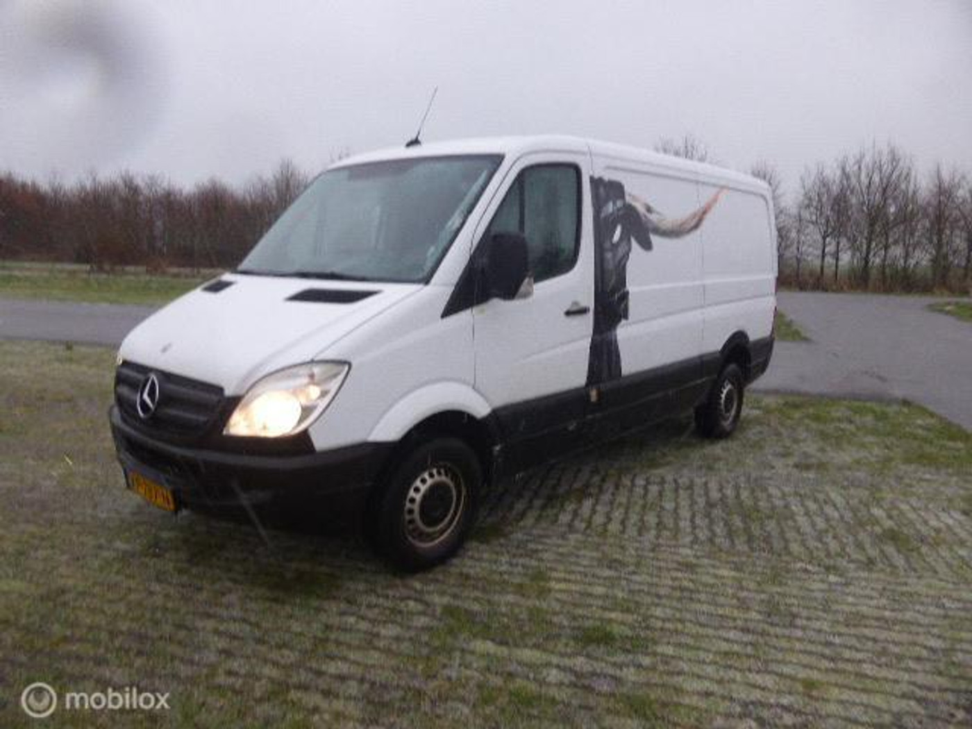 Mercedes-Benz Sprinter 210 2.2 CDI 366 2010 - voorkant