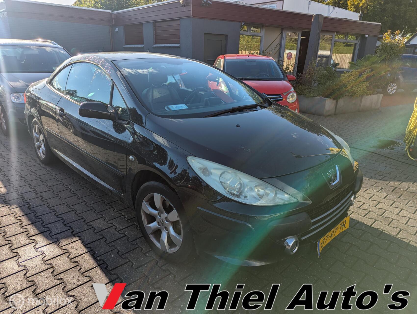 Foto van PEUGEOT 307