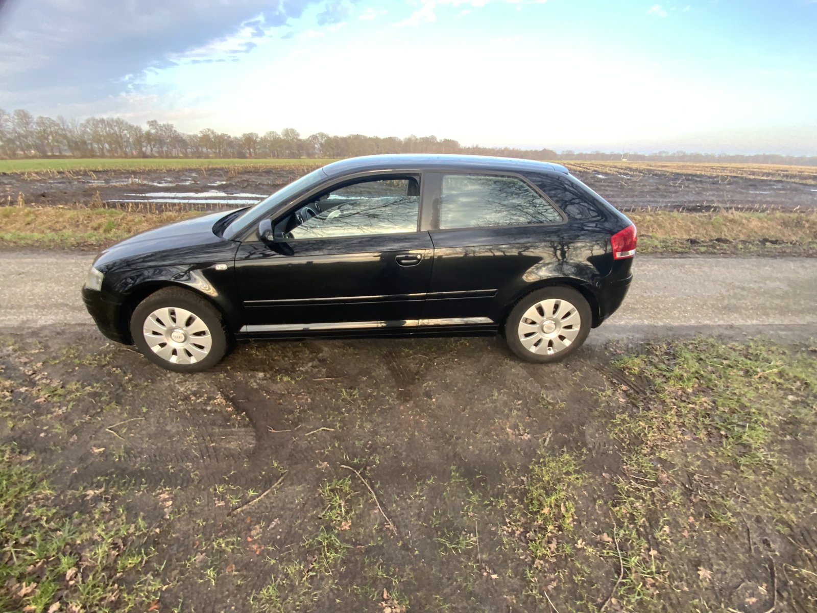 Inspectiefoto van Audi A3