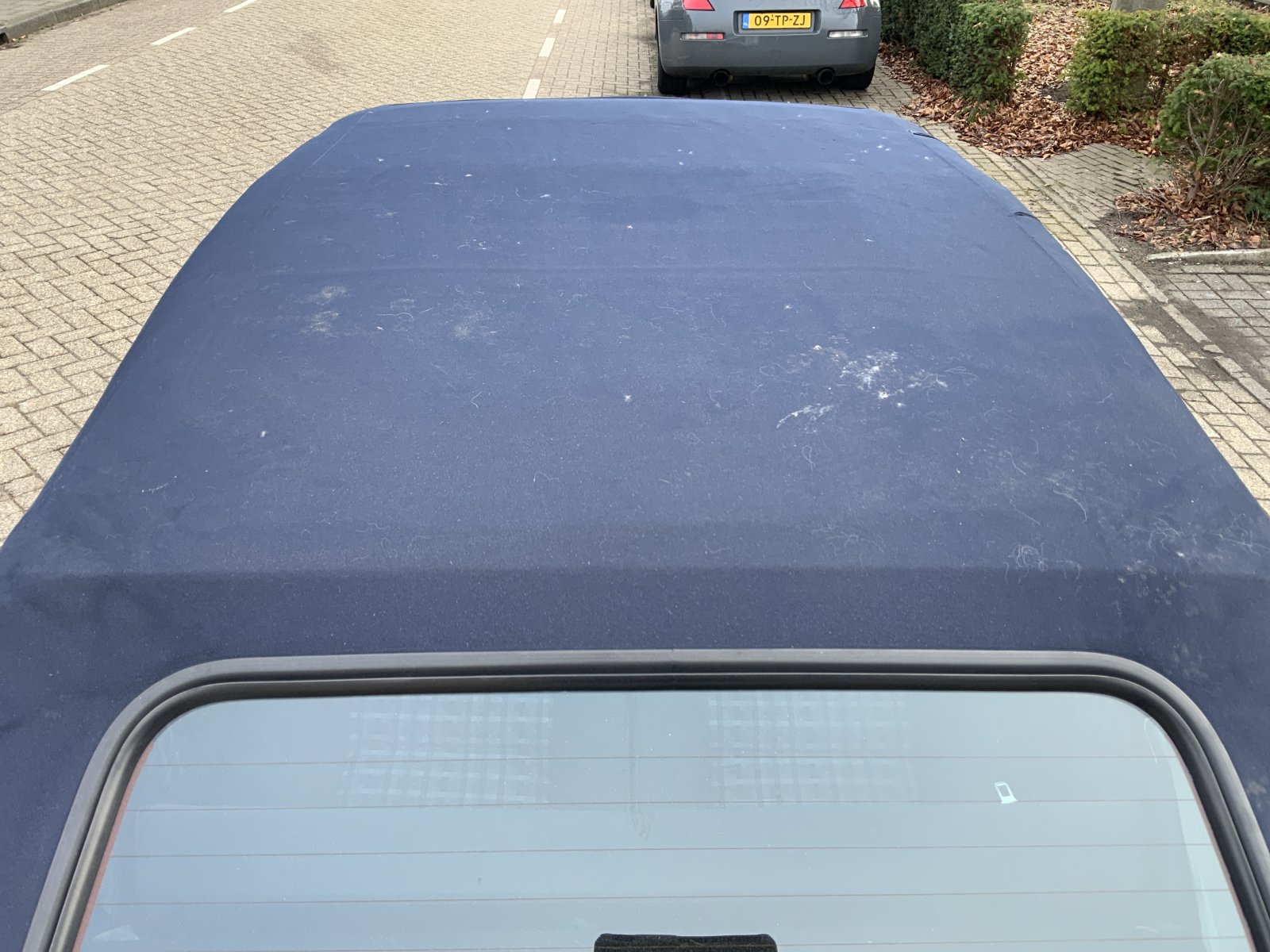 Inspectiefoto van Volkswagen Golf Cabriolet