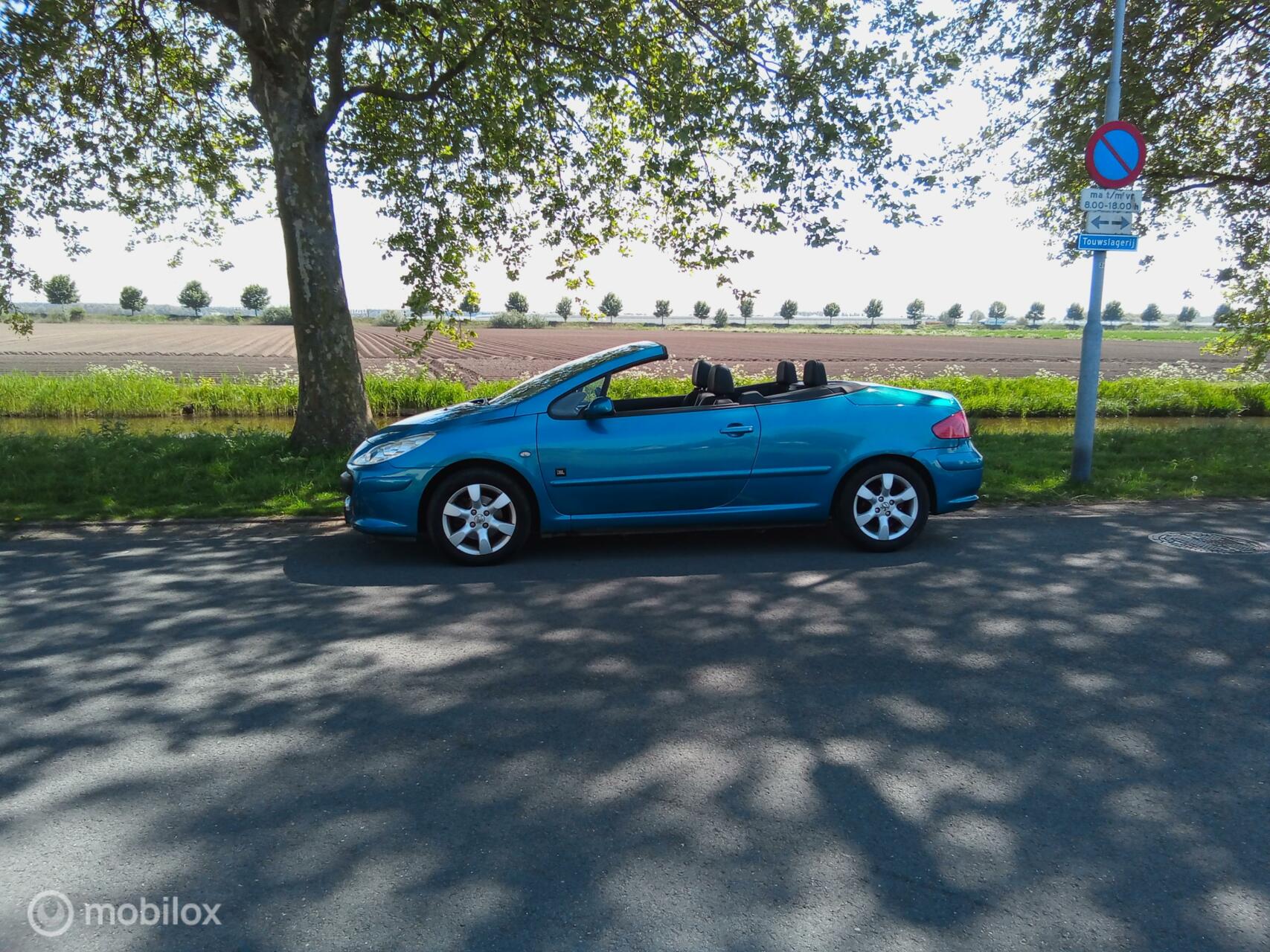 Foto van Peugeot 307 CC