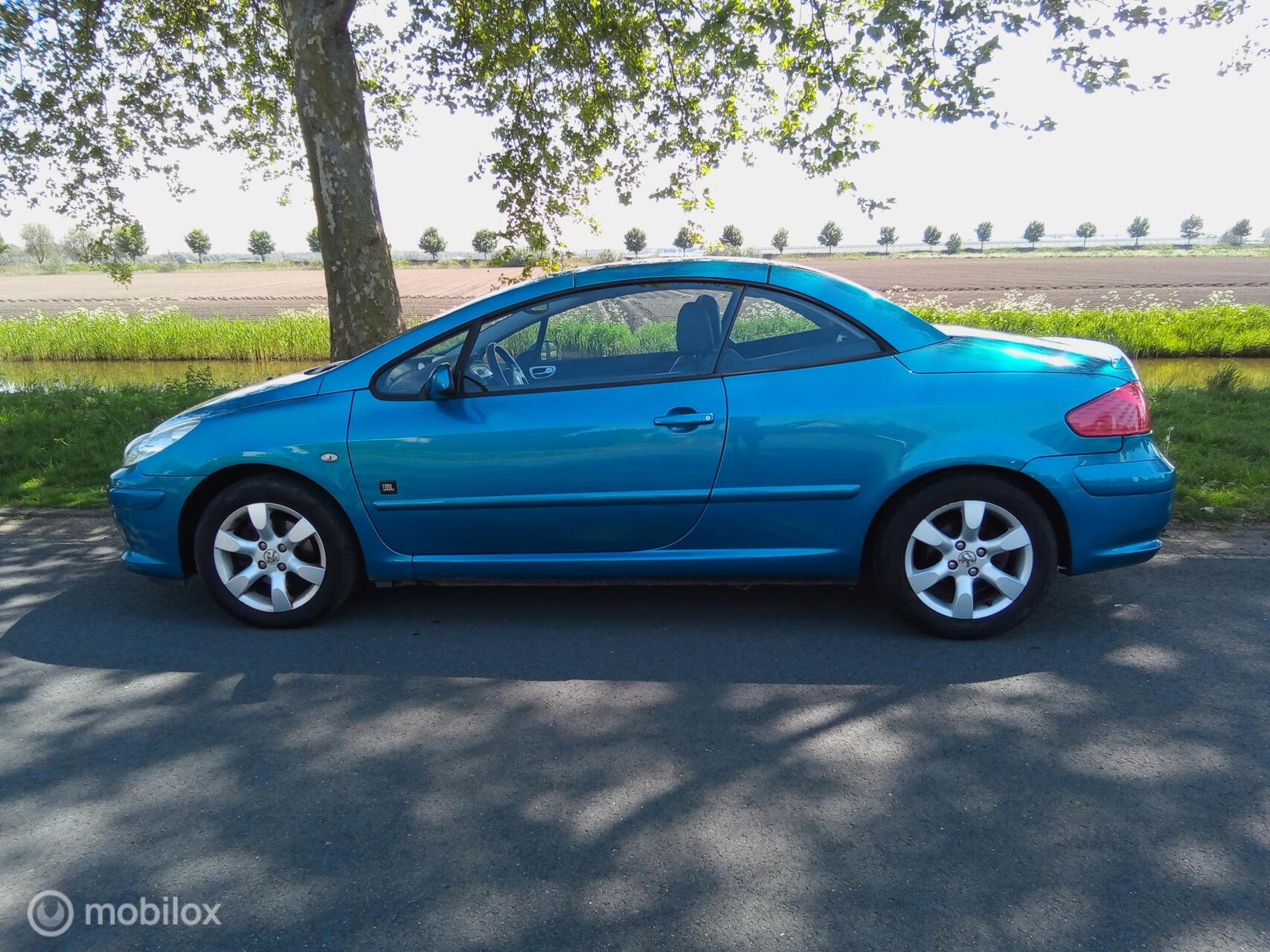 Foto van Peugeot 307 CC