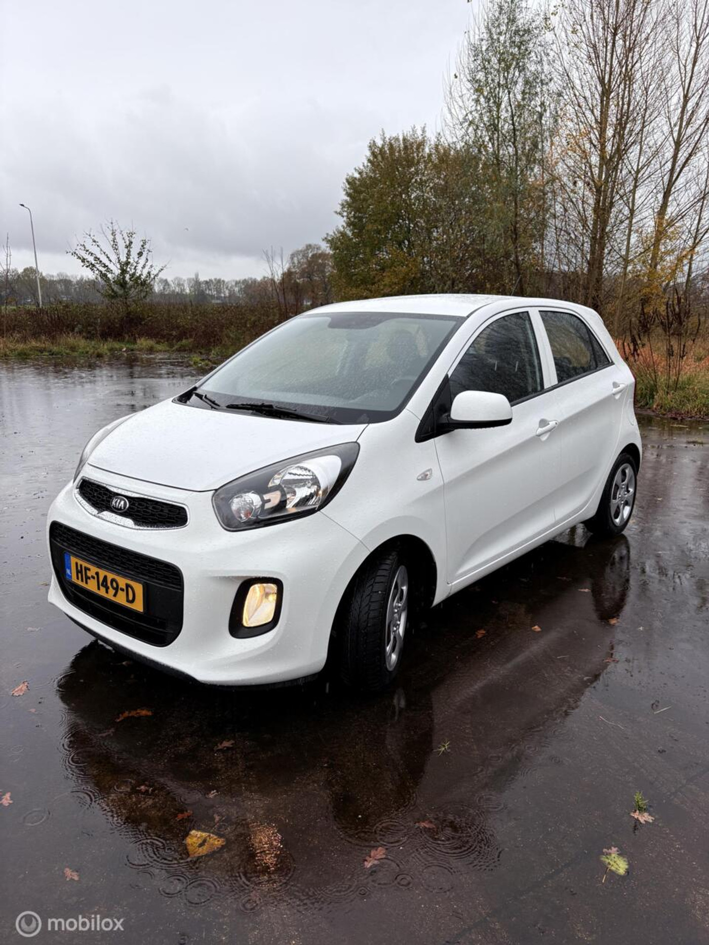 Kia Picanto 1.0 CVVT DynamicLine 2016 - voorkant