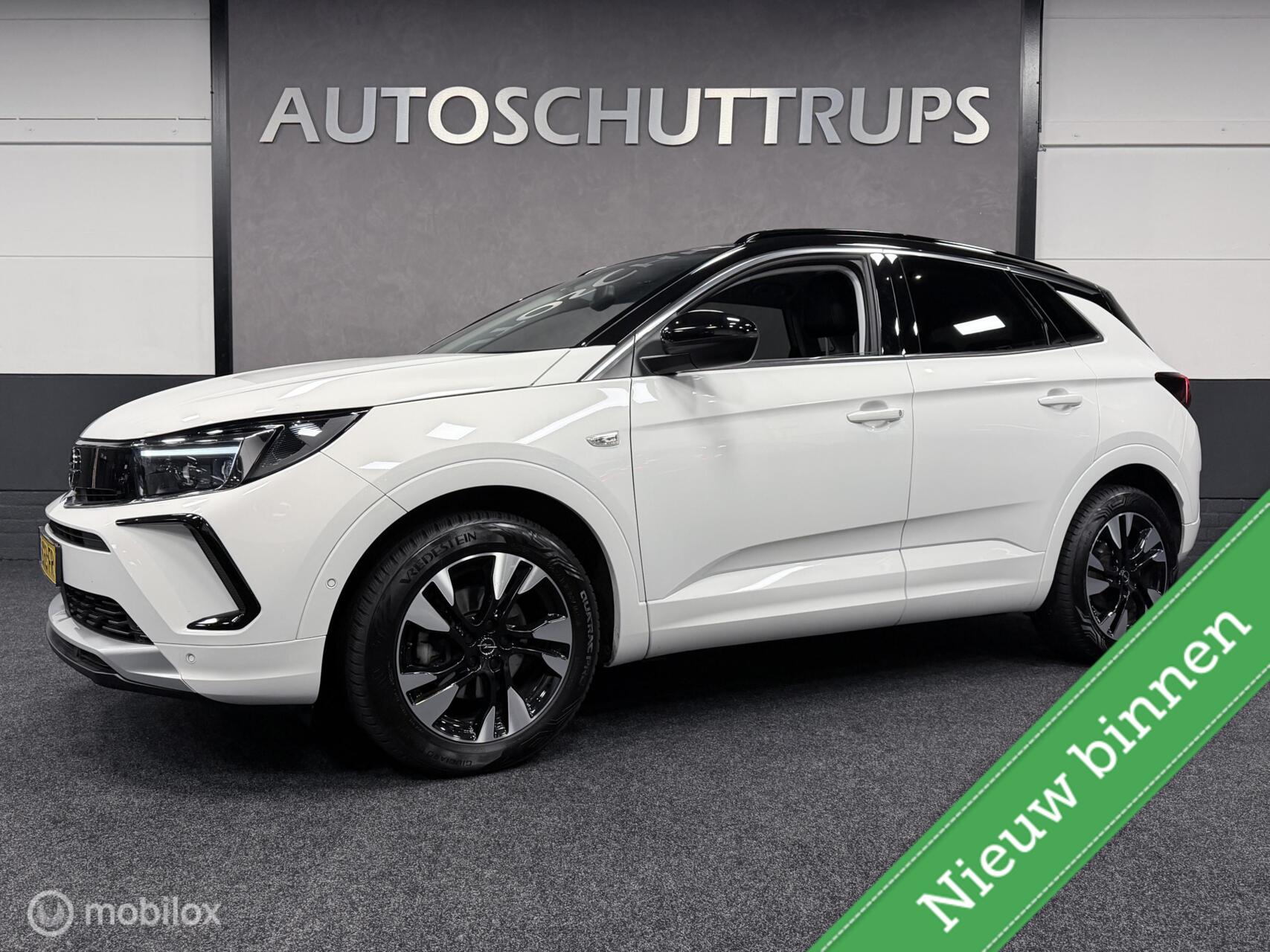 Foto van Opel Grandland