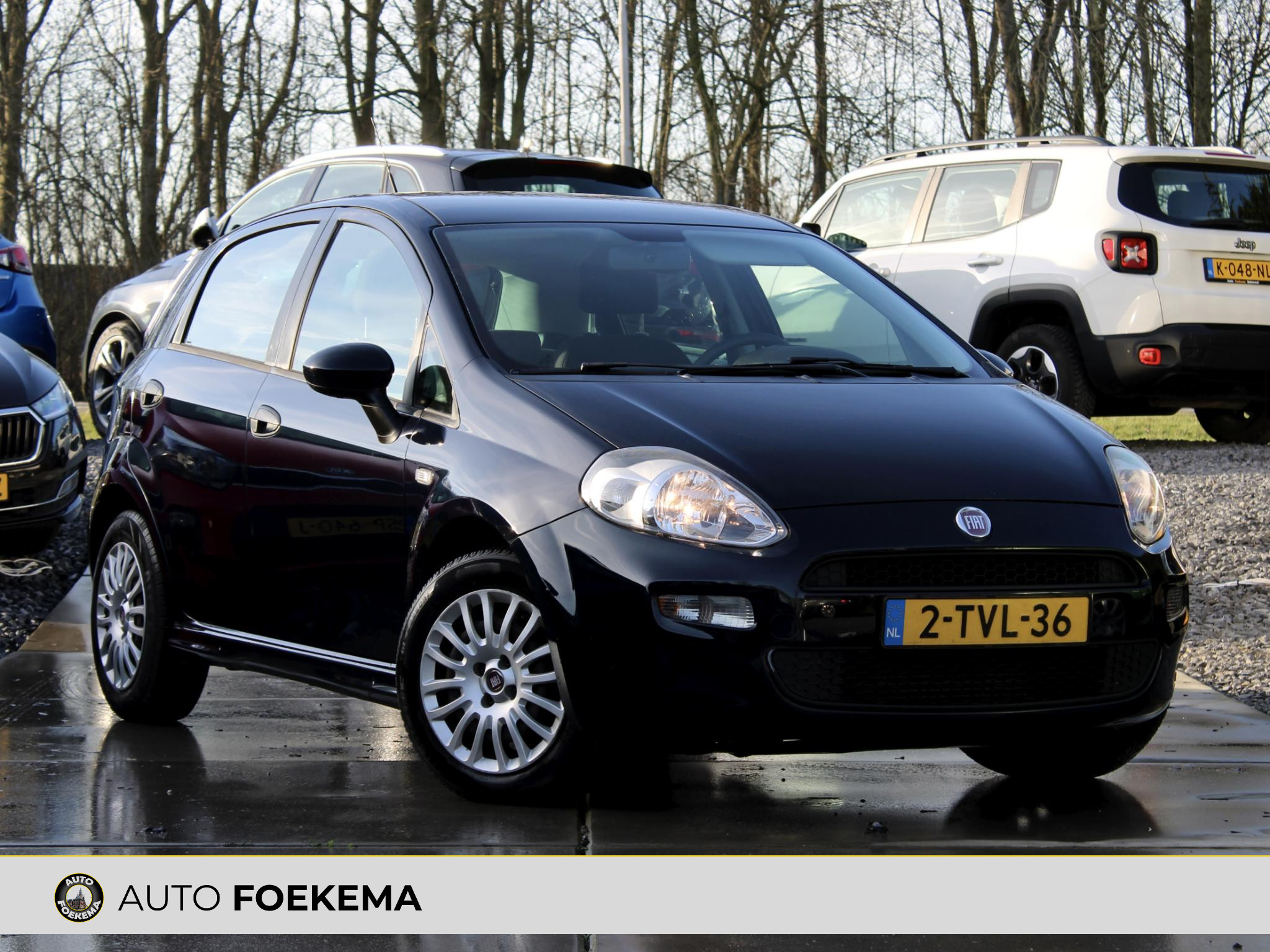 Foto van FIAT FIAT PUNTO