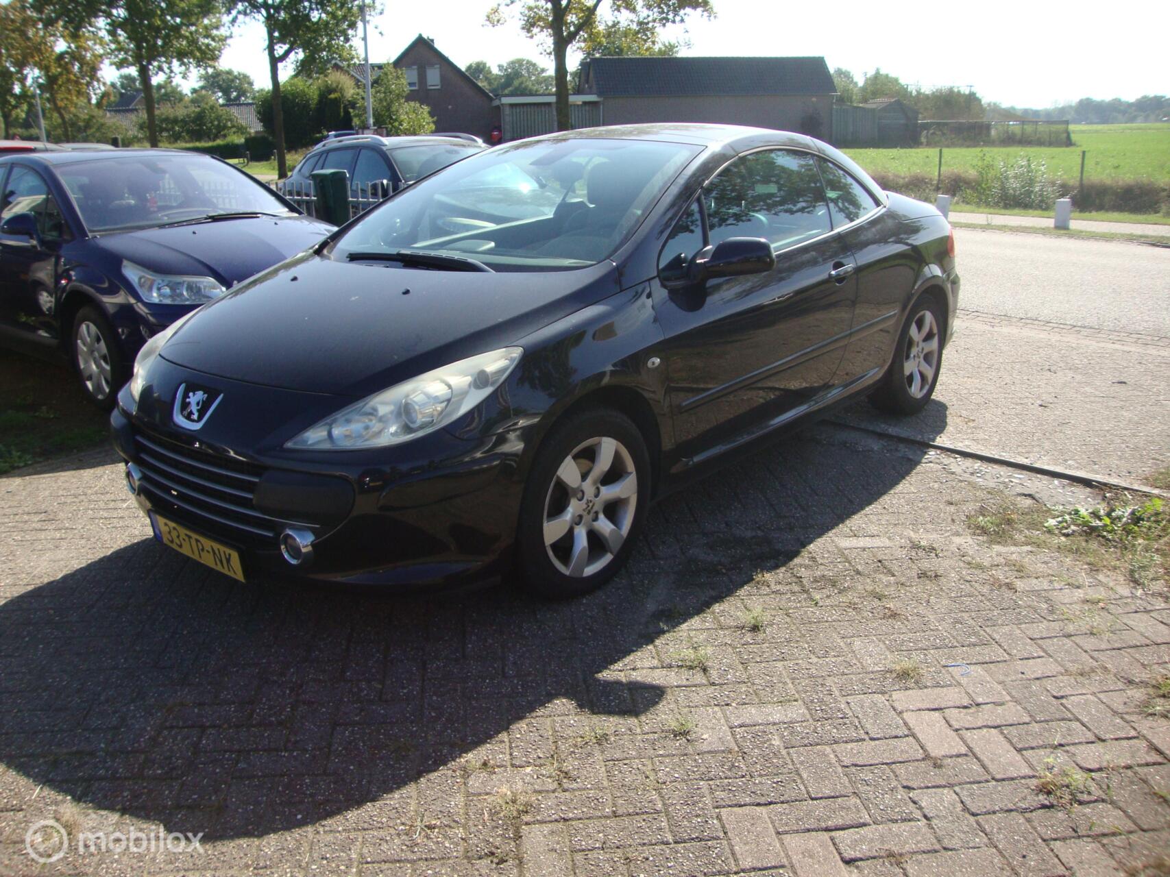 Foto van PEUGEOT 307