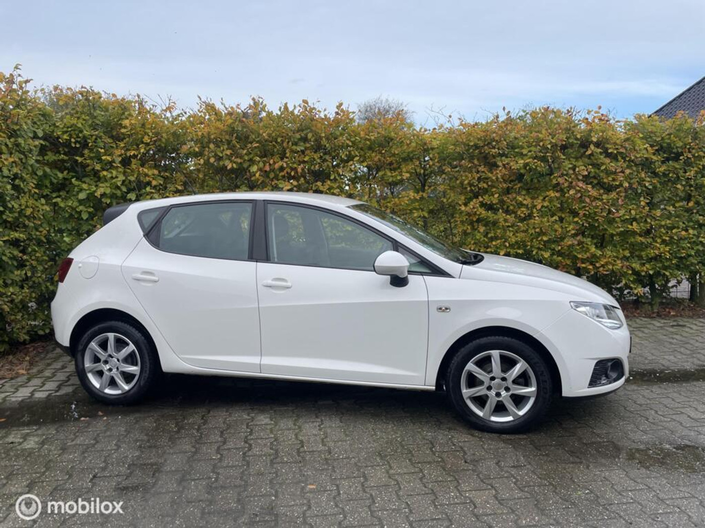 Foto van SEAT IBIZA
