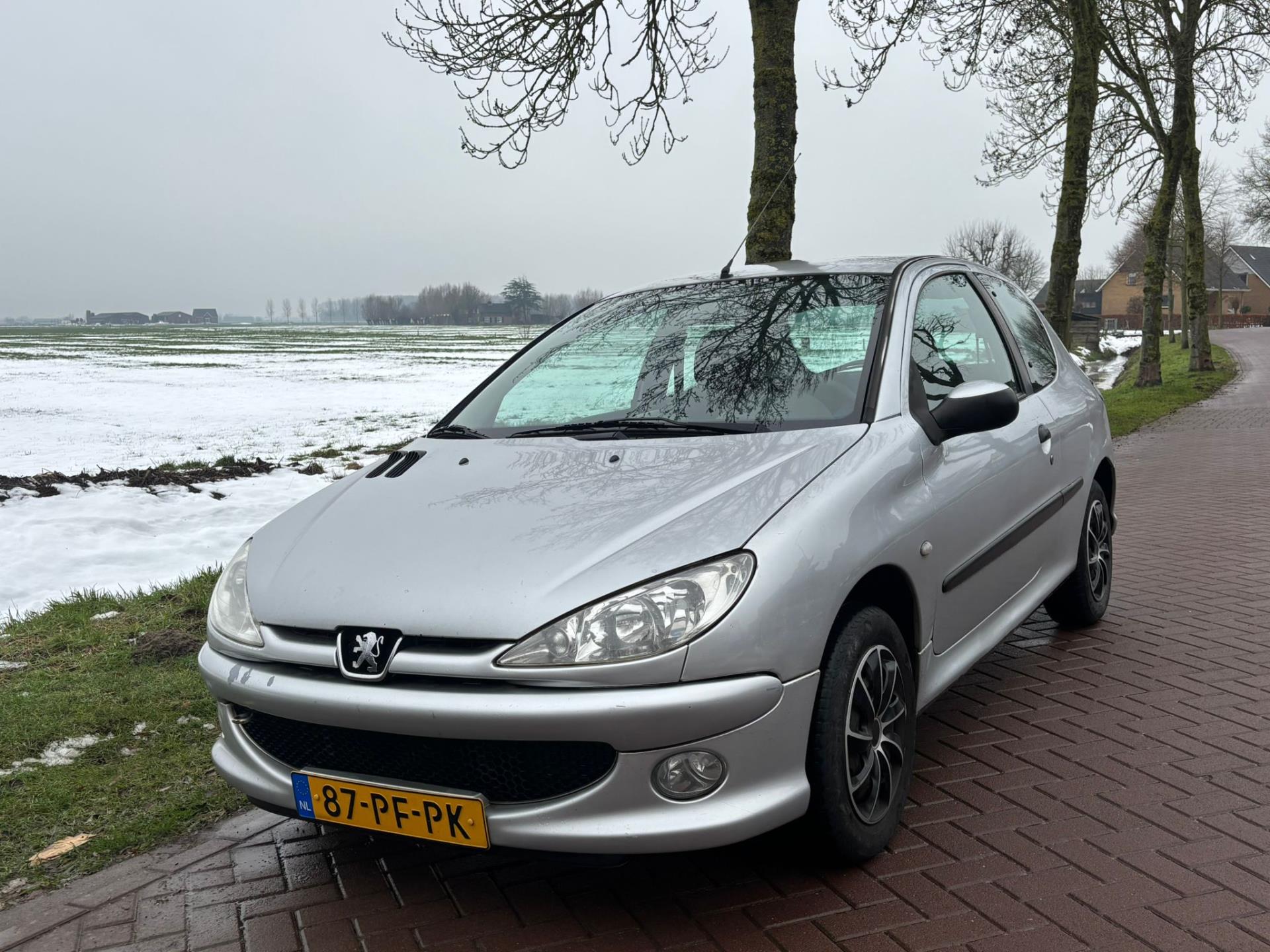 Foto van PEUGEOT 206