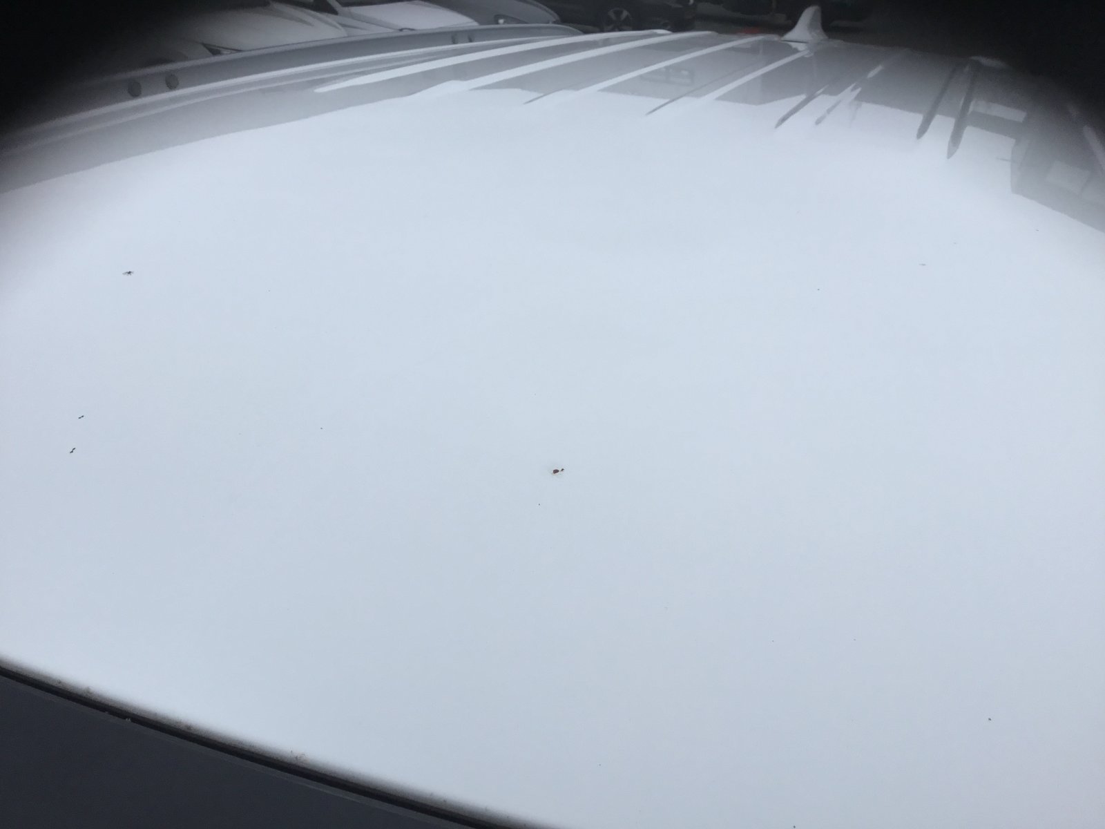 Inspectiefoto van Mitsubishi Outlander