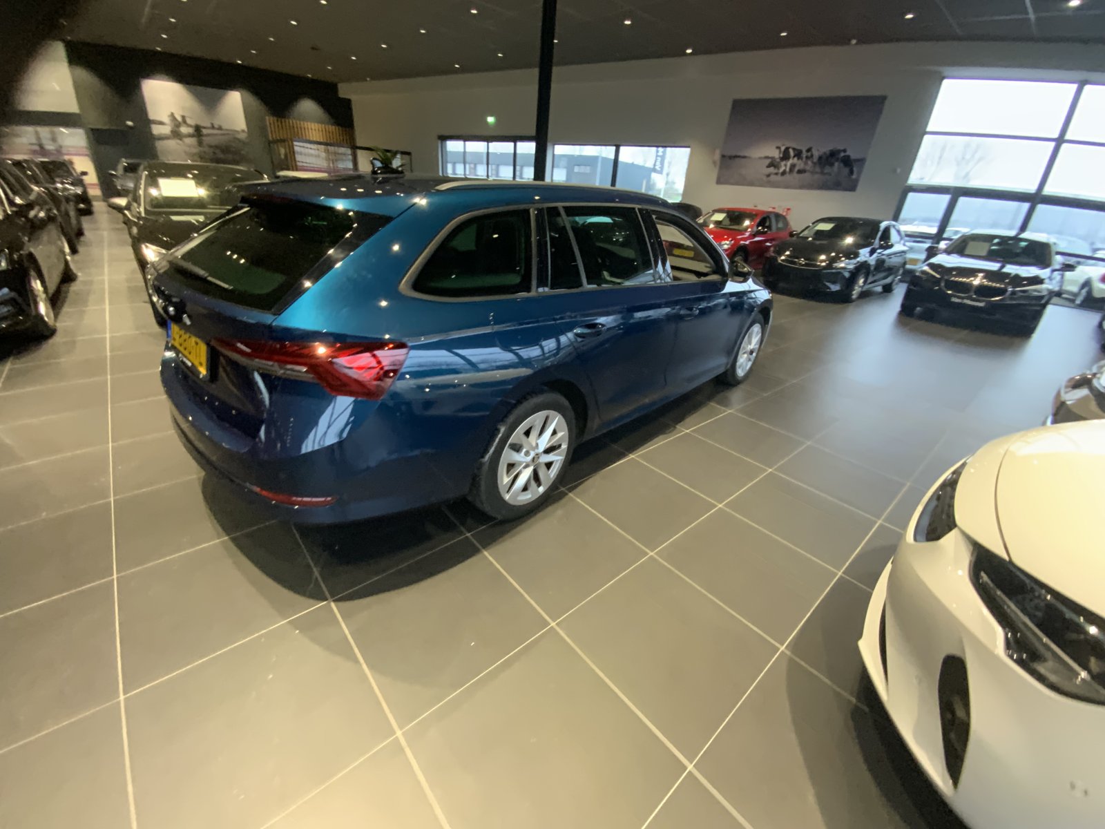 Inspectiefoto van Skoda Octavia