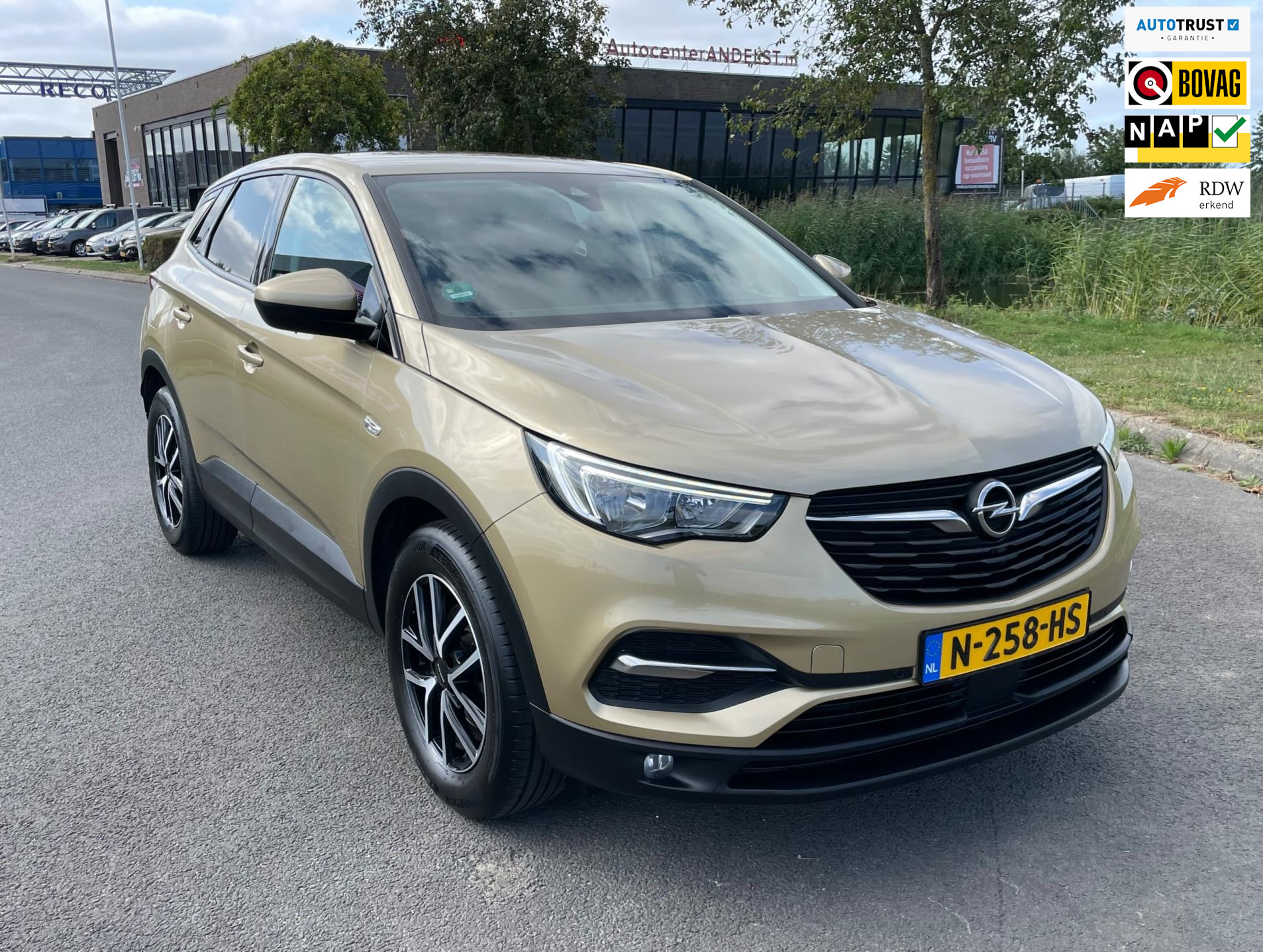 Foto van Opel Grandland X