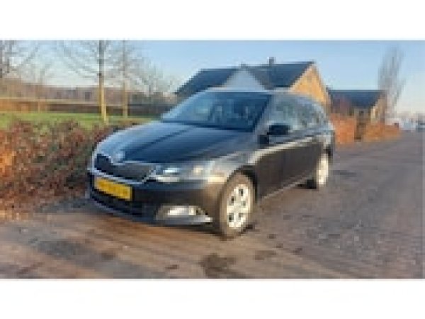 Foto van Skoda Fabia