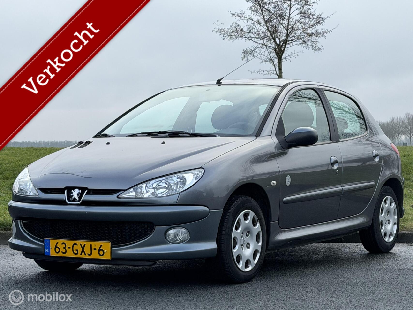 Foto van PEUGEOT 206