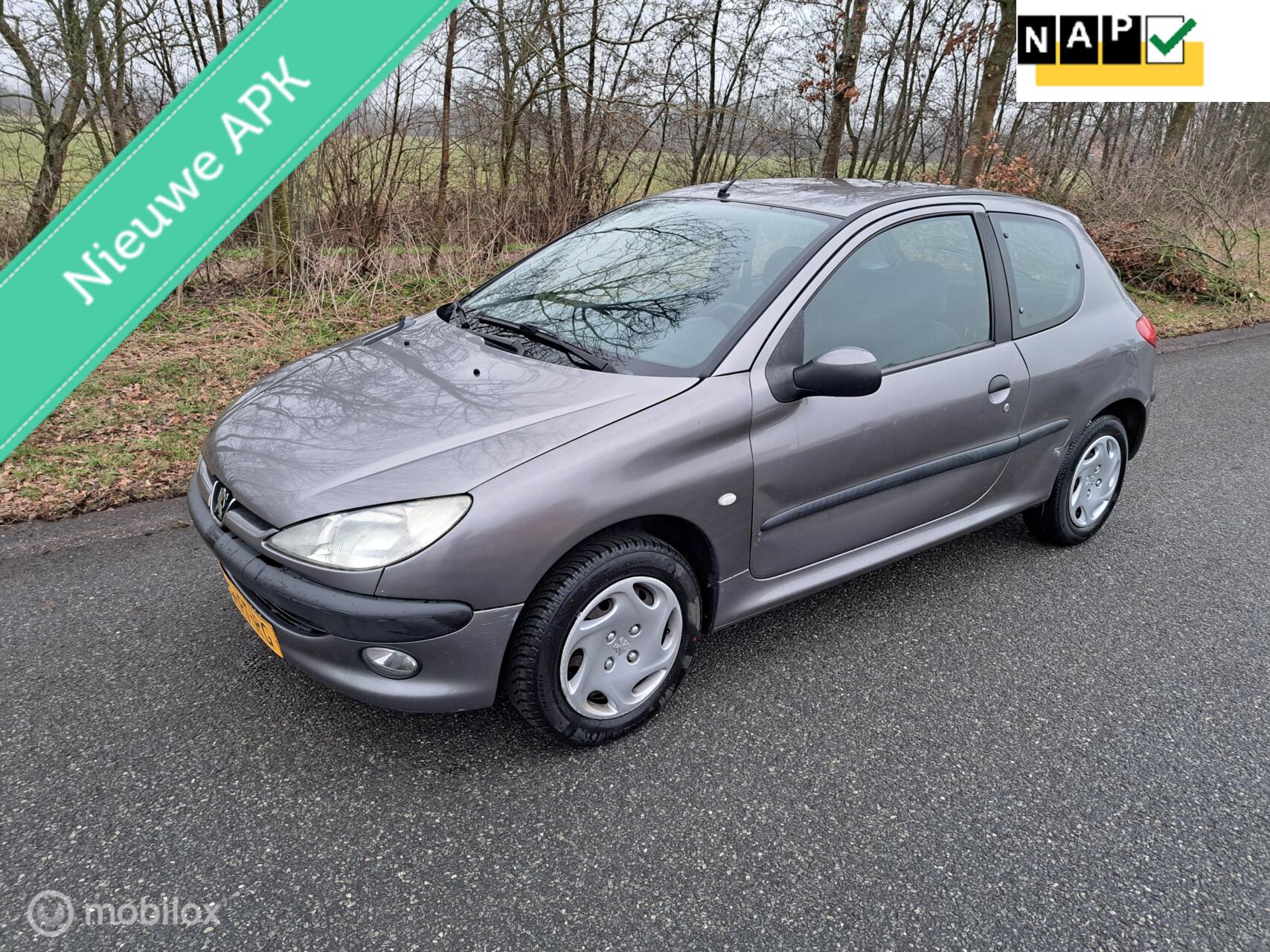 Foto van PEUGEOT 206