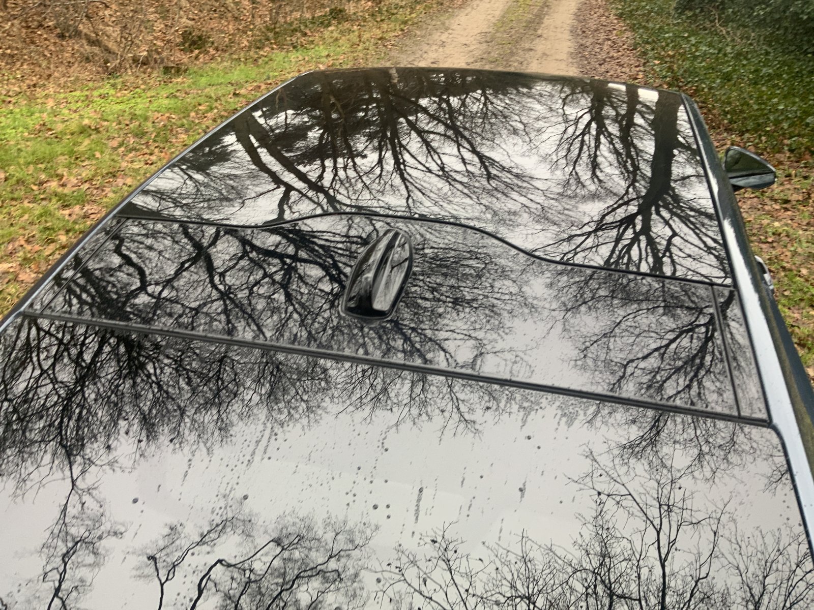 Inspectiefoto van Polestar 2