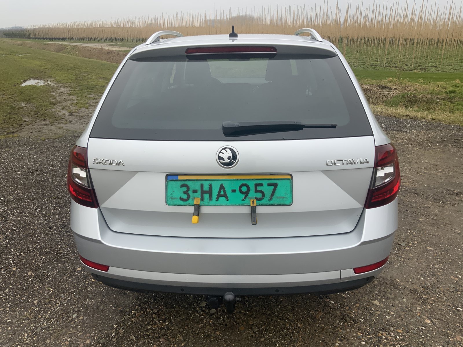 Inspectiefoto van Skoda Octavia Combi
