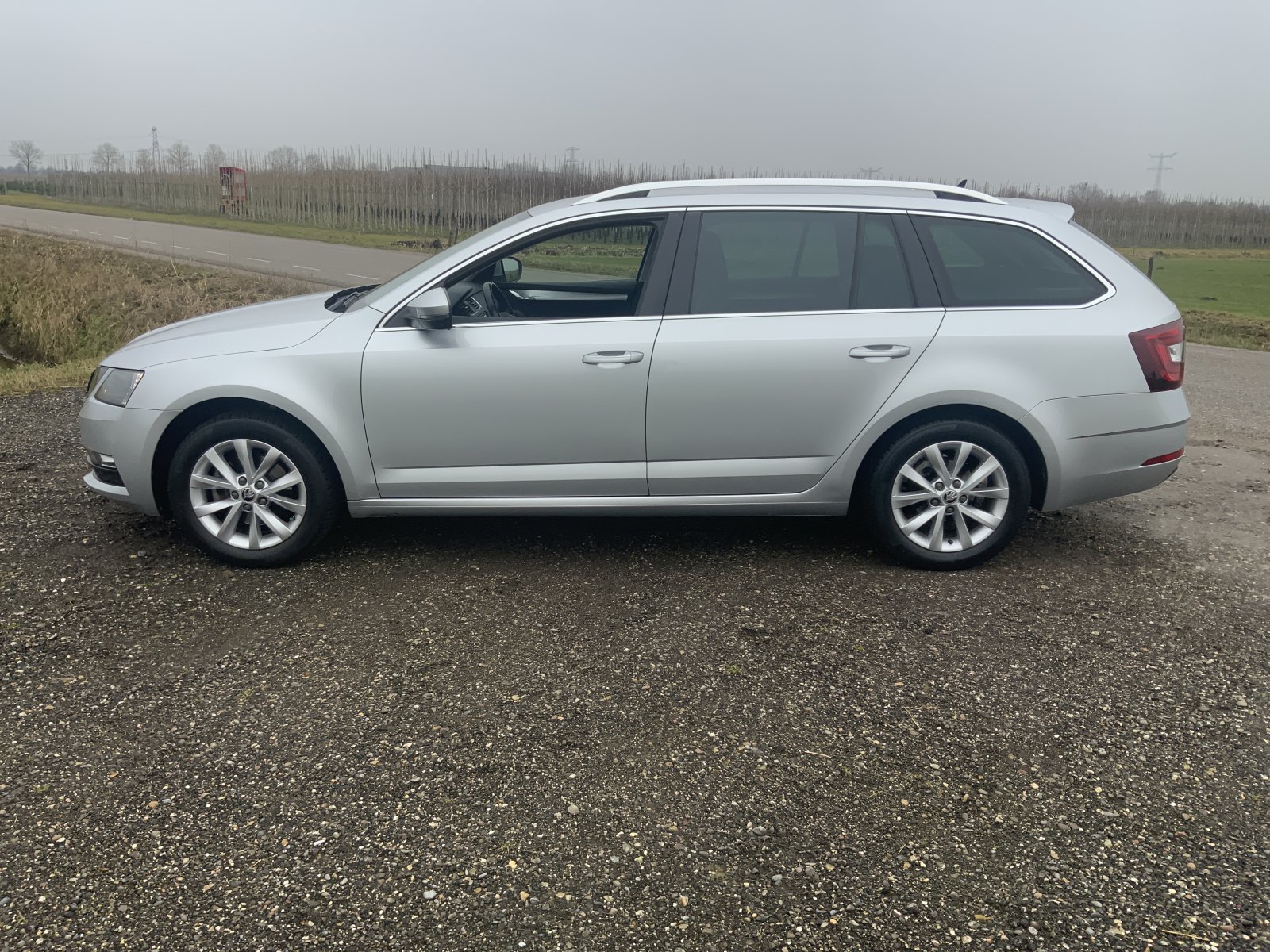 Inspectiefoto van Skoda Octavia Combi