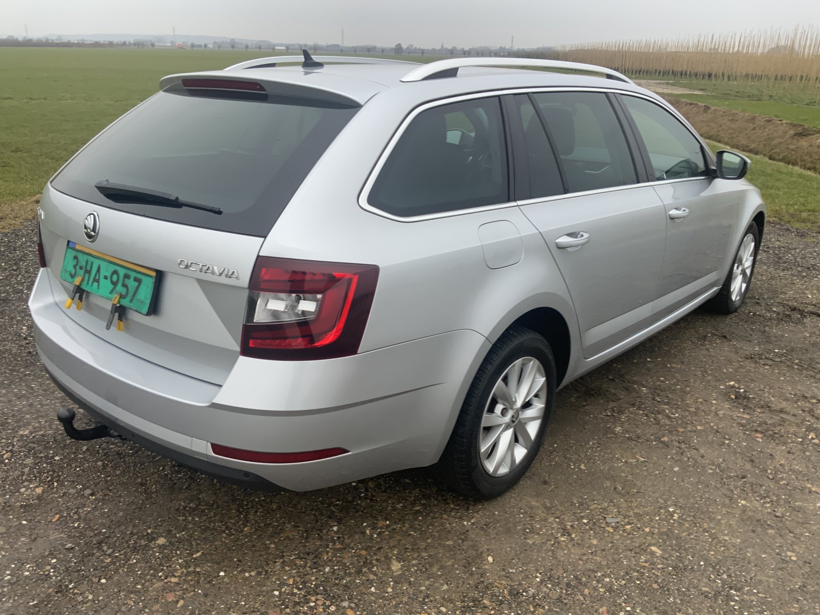 Inspectiefoto van Skoda Octavia Combi