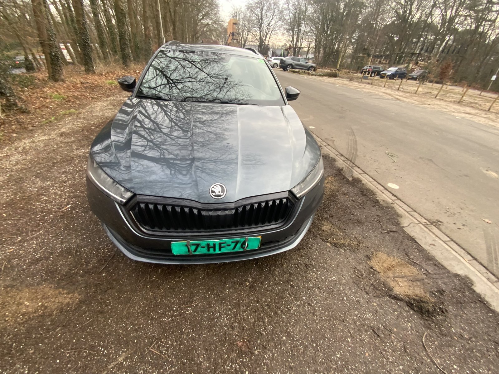 Inspectiefoto van Skoda Octavia Combi