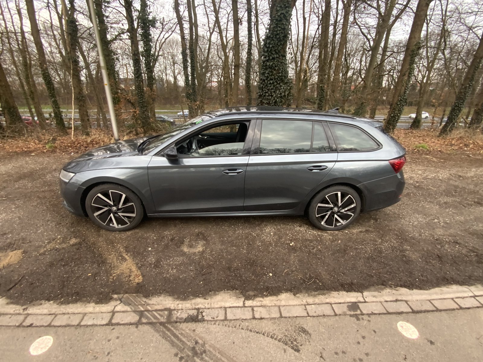 Inspectiefoto van Skoda Octavia Combi
