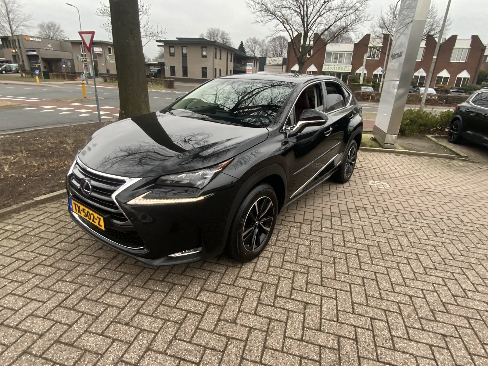 Inspectiefoto van Lexus Lexus Nx300h