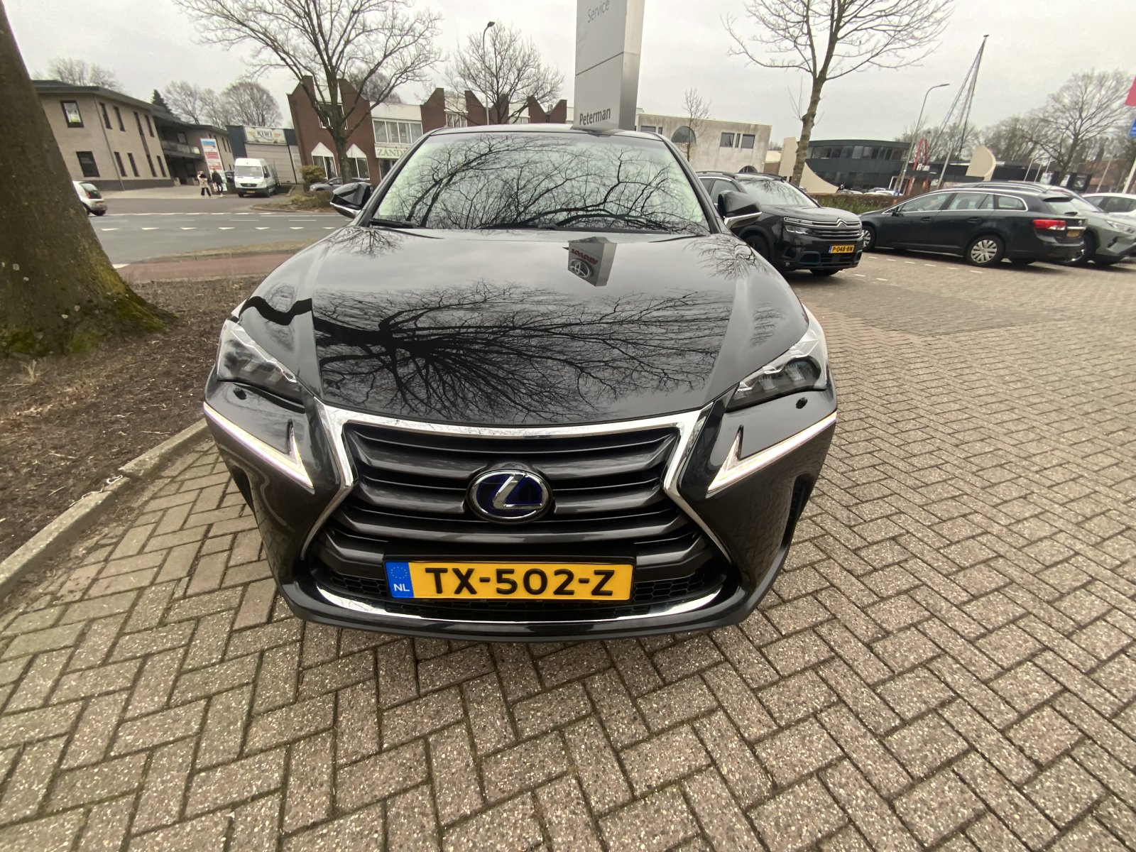 Inspectiefoto van Lexus Lexus Nx300h