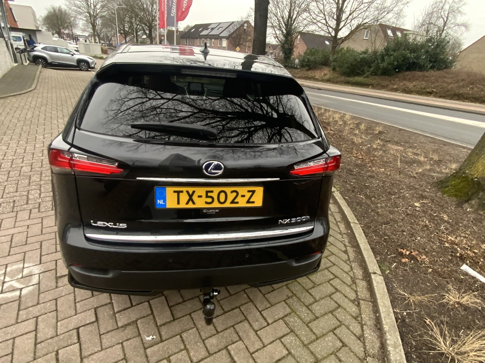 Inspectiefoto van Lexus Lexus Nx300h