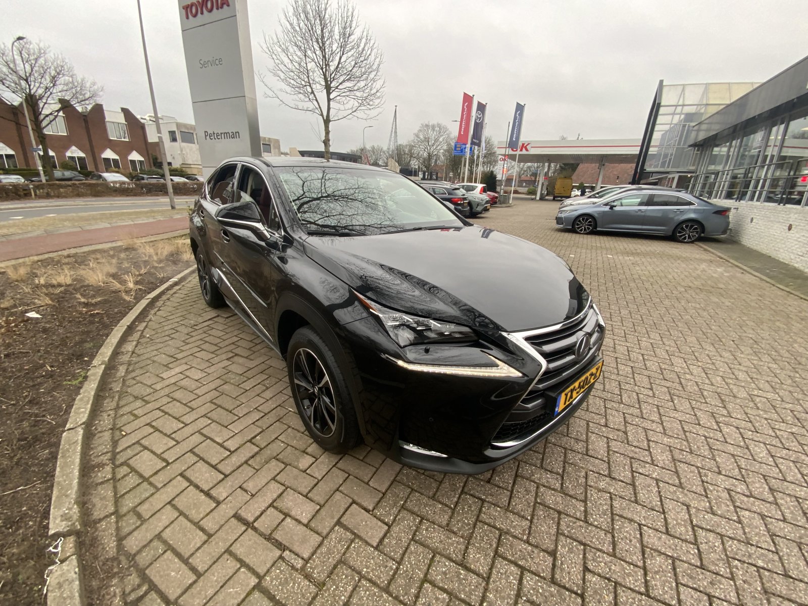 Inspectiefoto van Lexus Lexus Nx300h