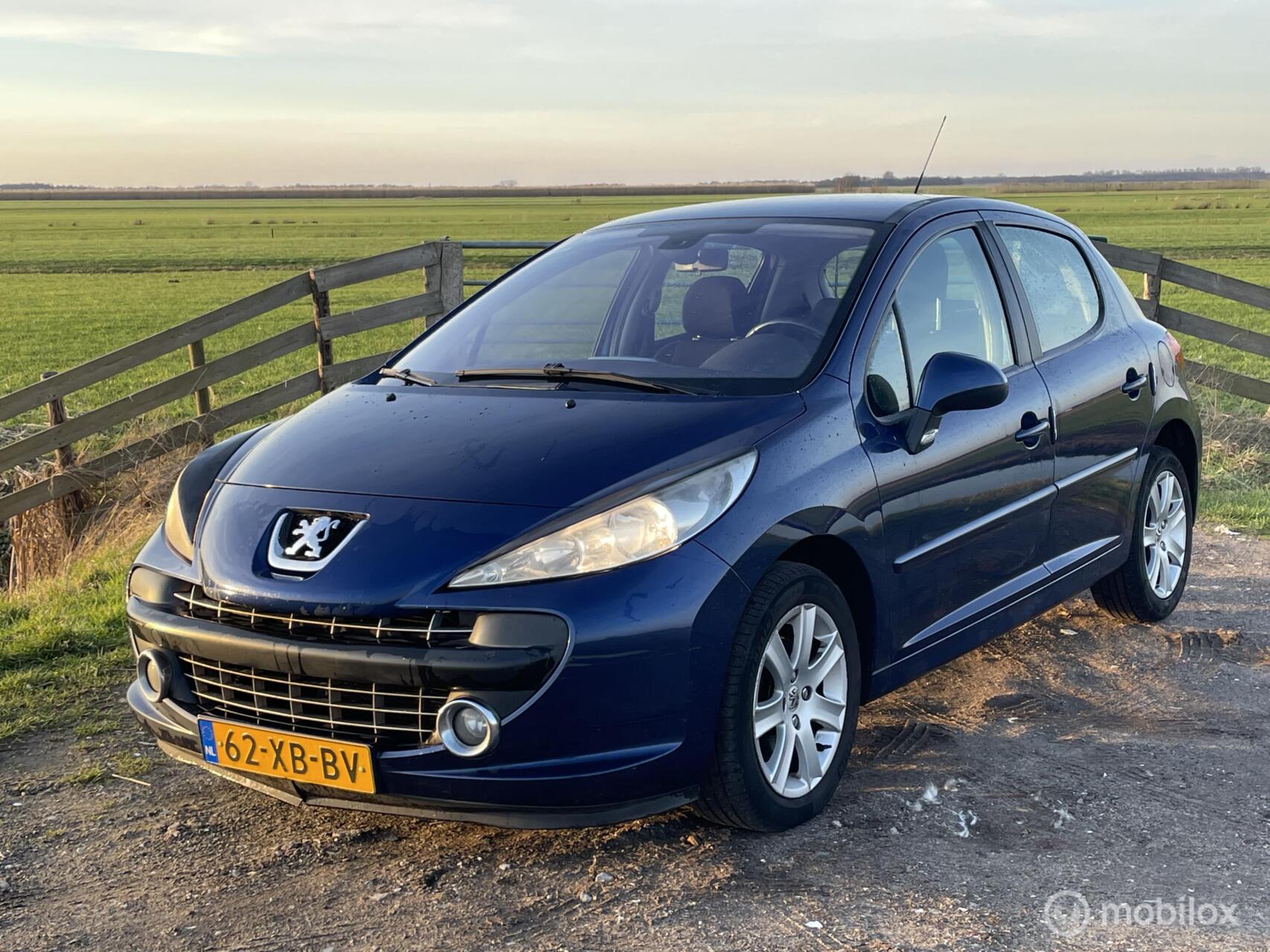 Foto van PEUGEOT 207