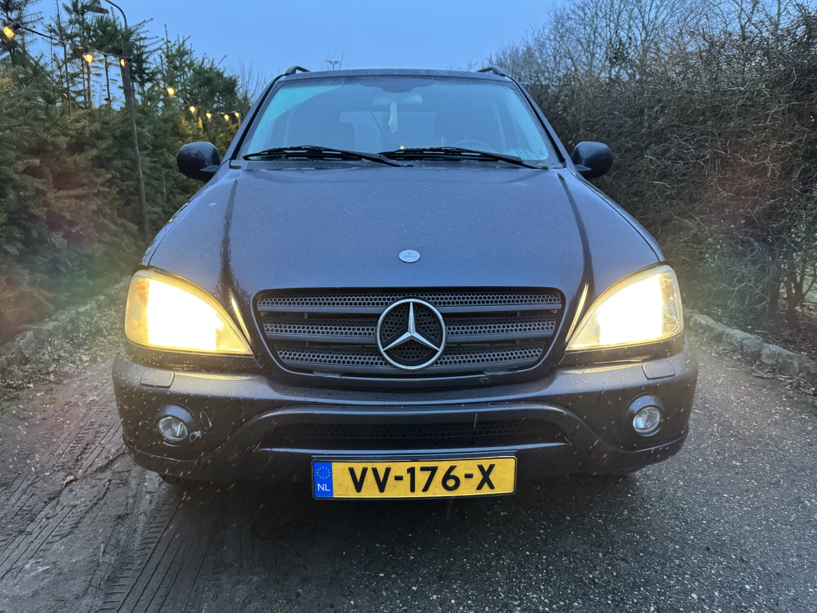 Inspectiefoto van Mercedes-Benz M-klasse