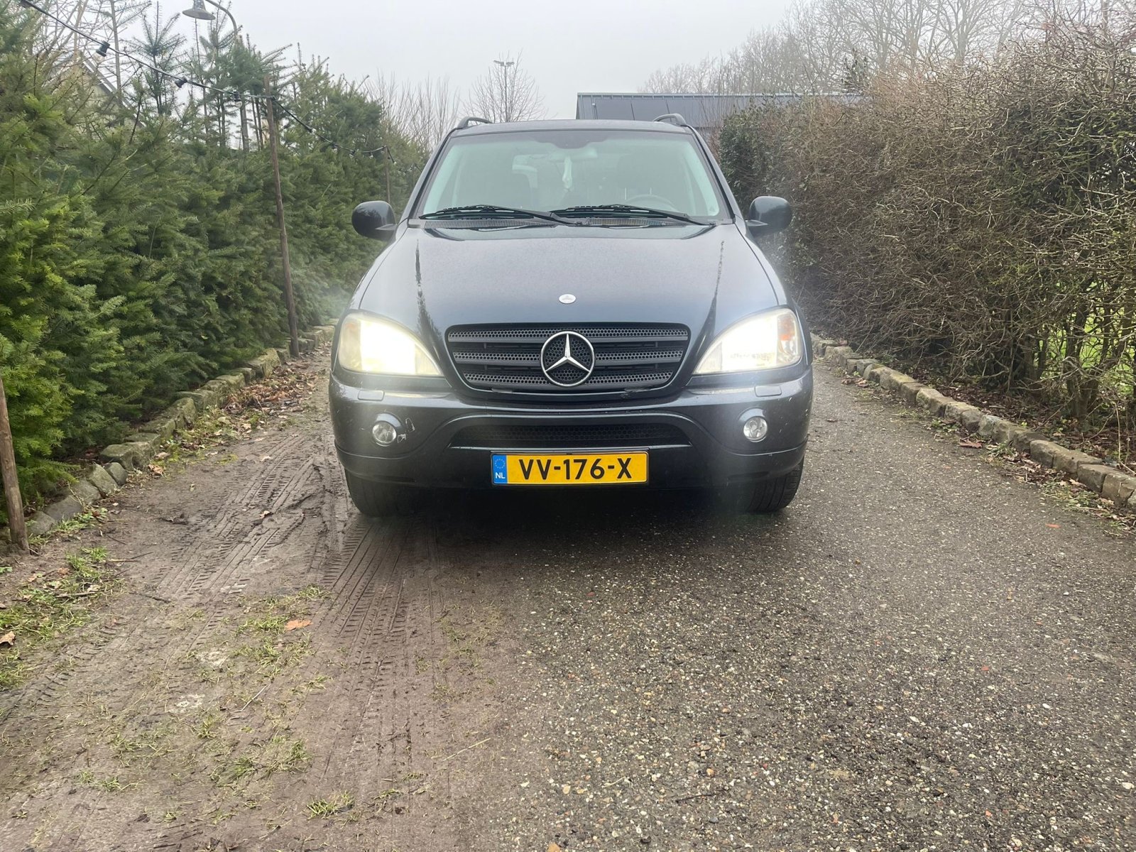 Inspectiefoto van Mercedes-Benz M-klasse
