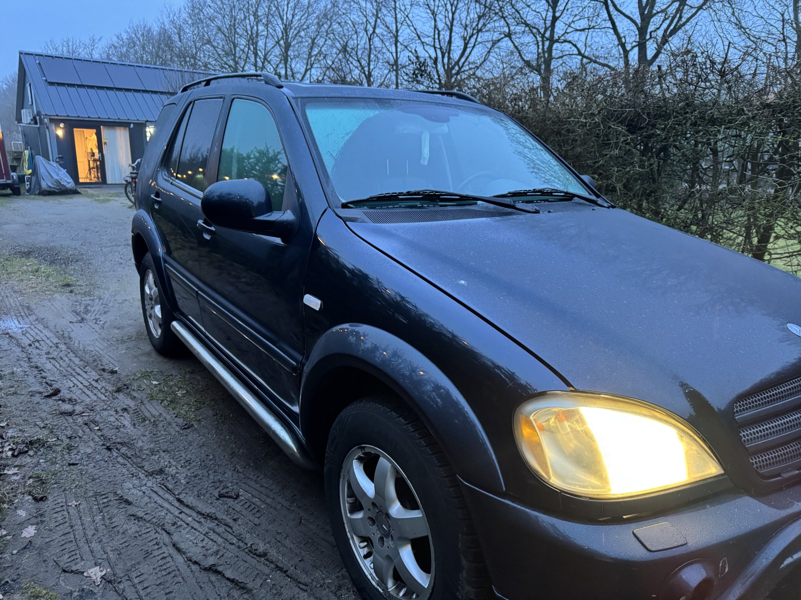 Inspectiefoto van Mercedes-Benz M-klasse