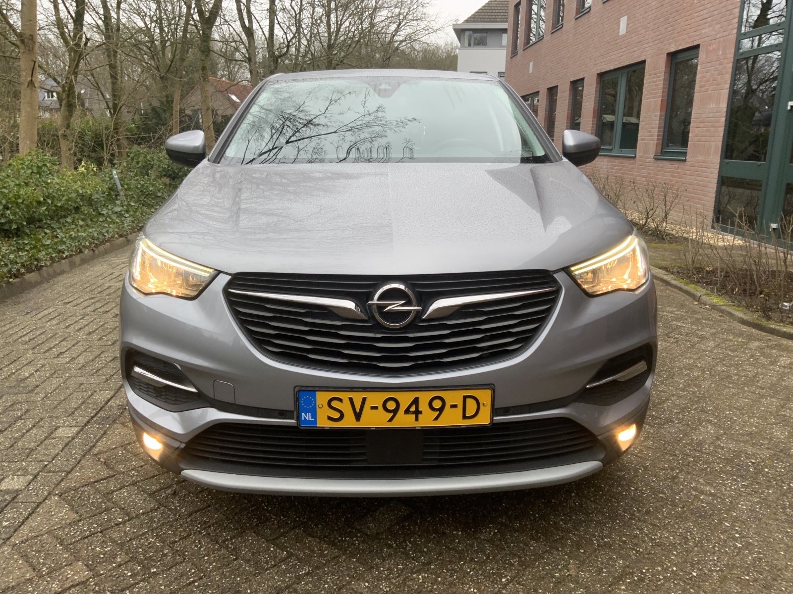 Inspectiefoto van Opel Grandland X