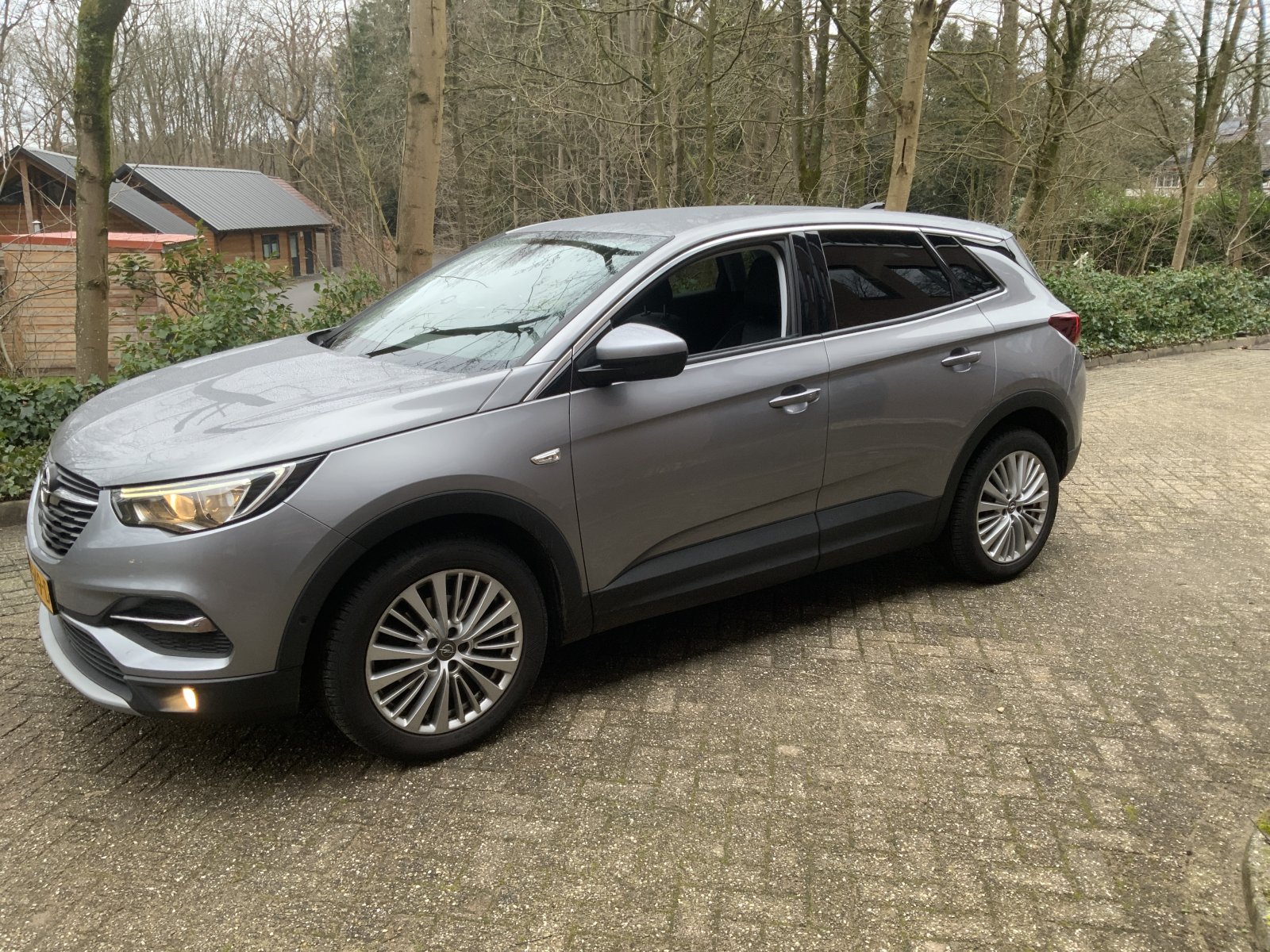 Inspectiefoto van Opel Grandland X