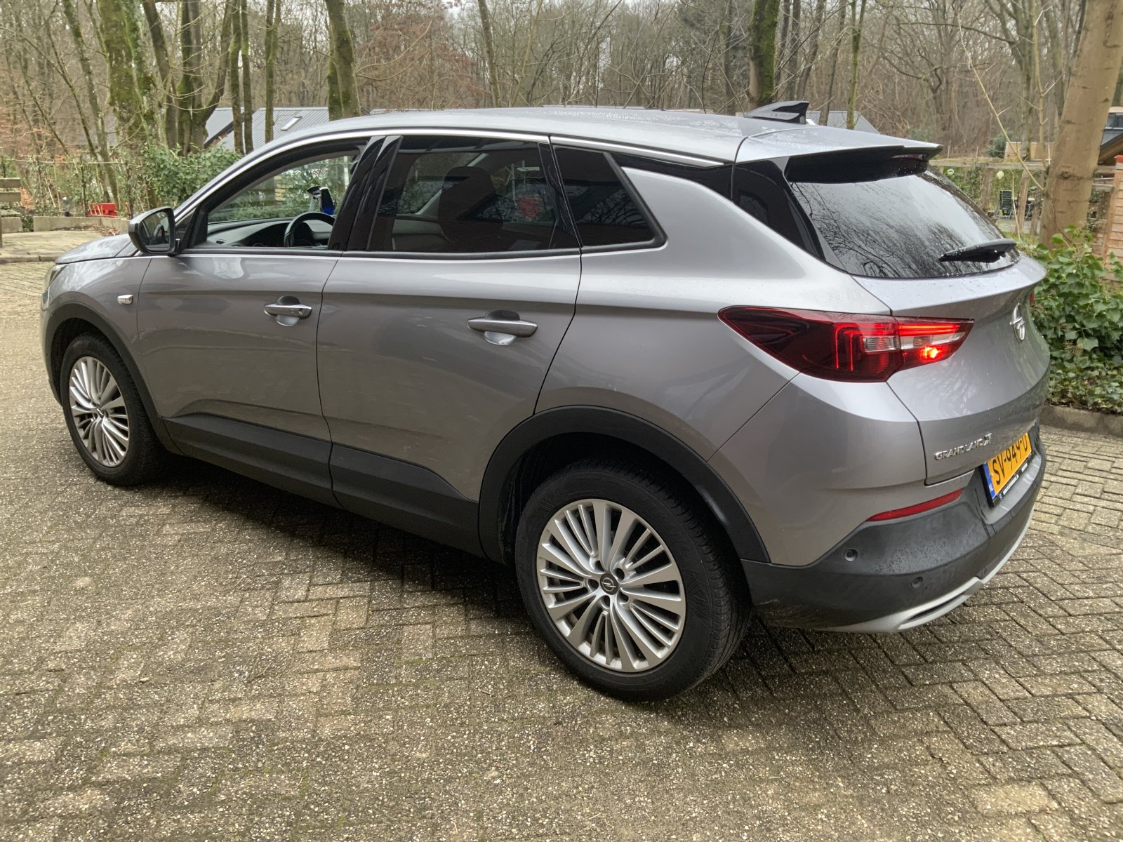 Inspectiefoto van Opel Grandland X