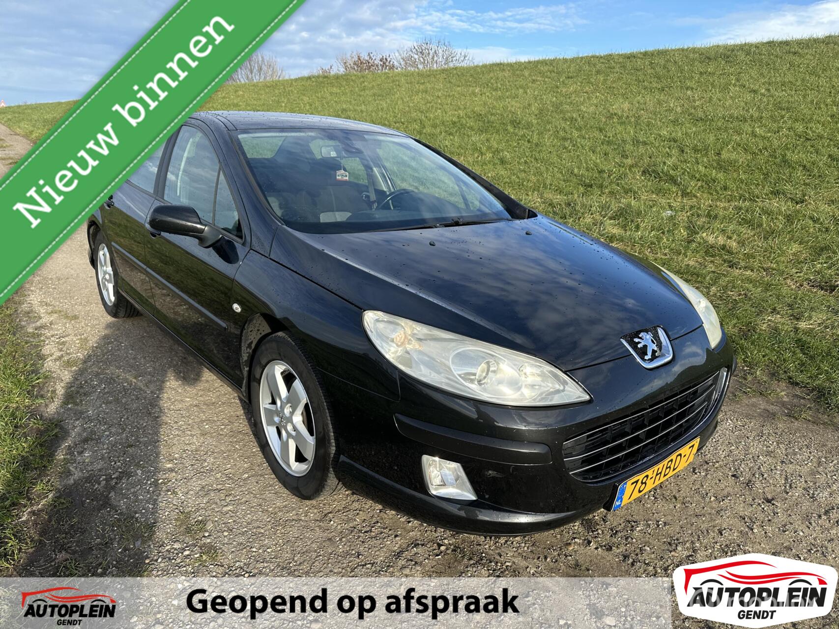 Foto van PEUGEOT 407