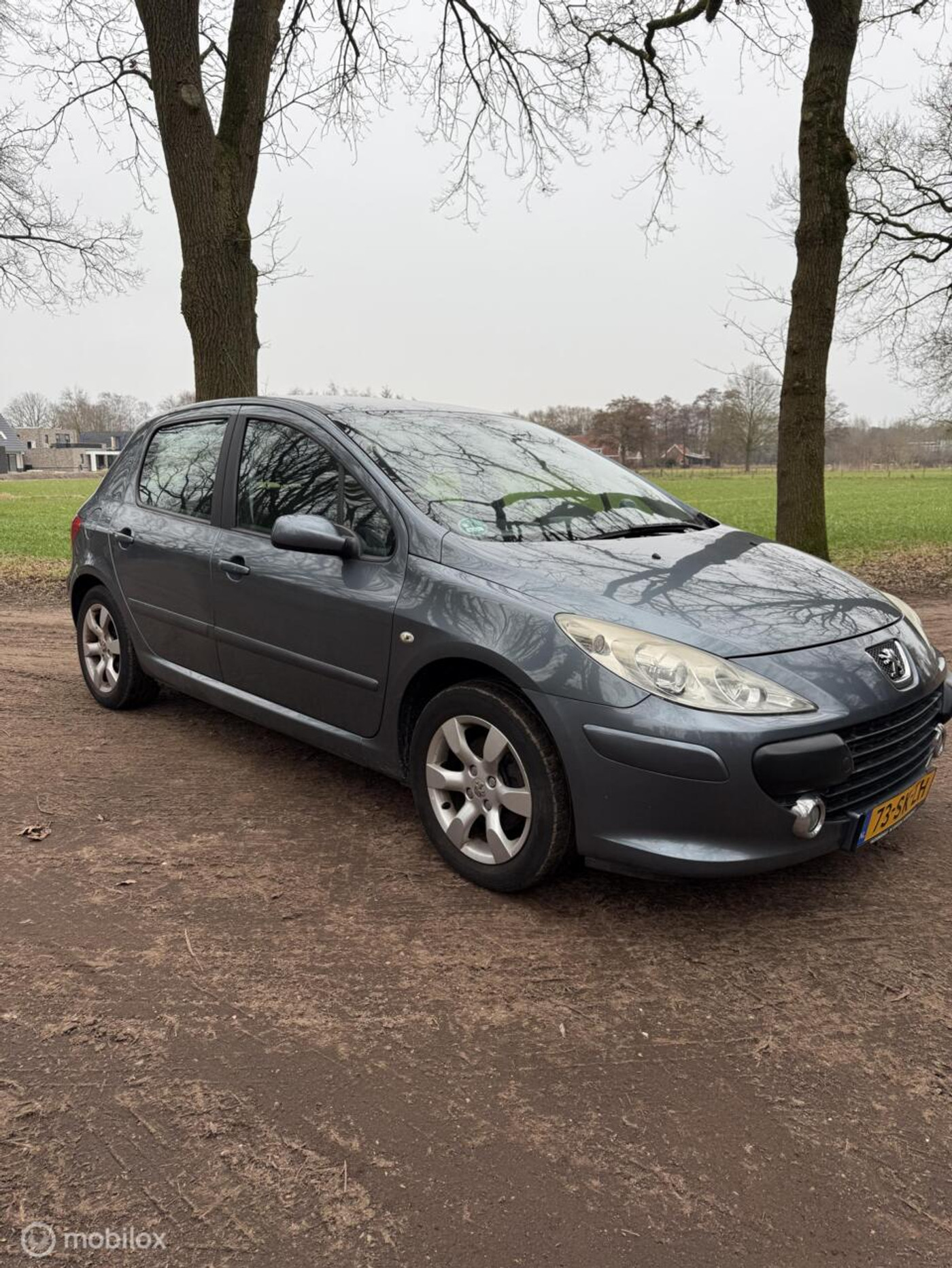 Foto van PEUGEOT 307