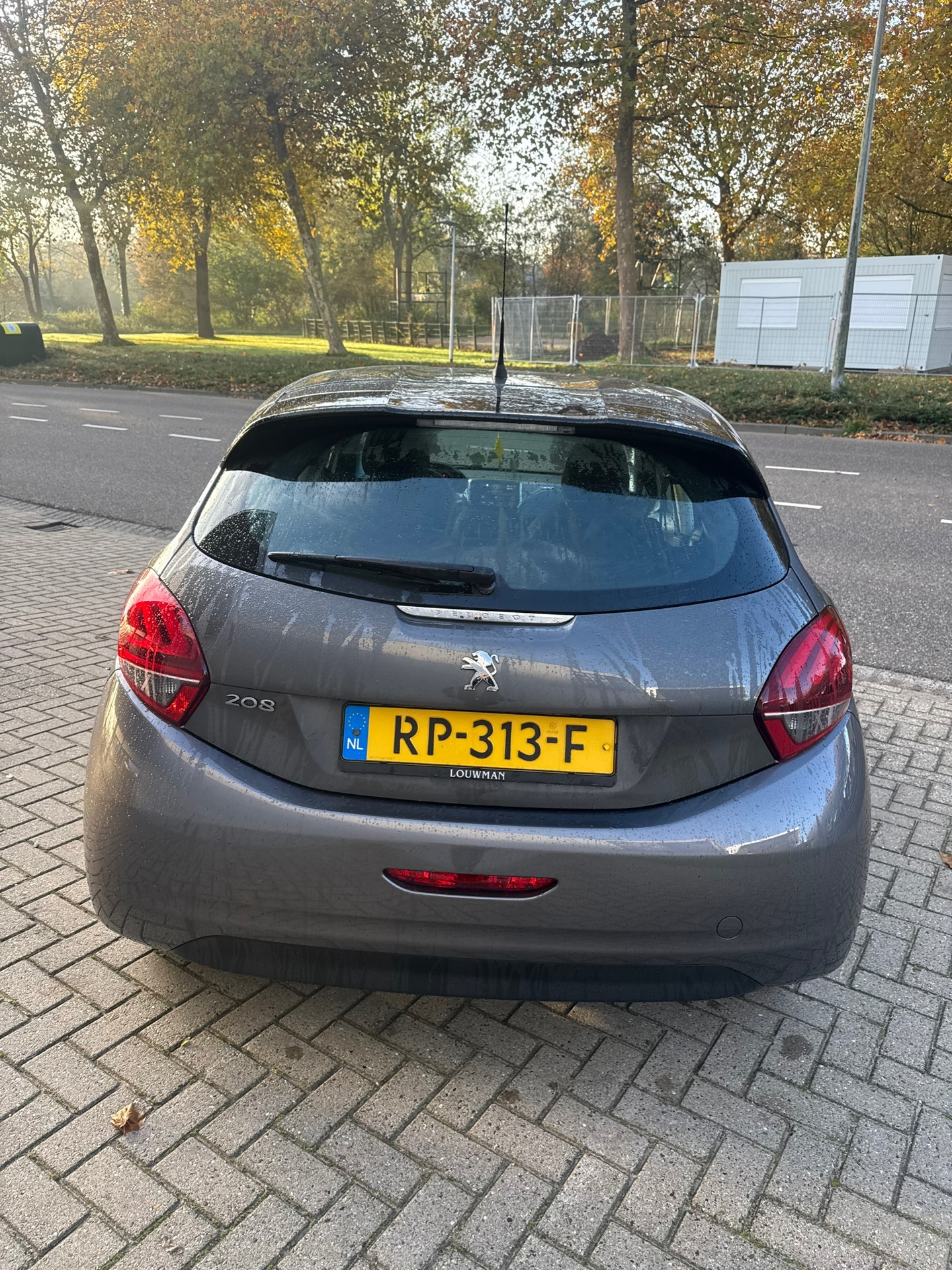 Foto van Peugeot 208