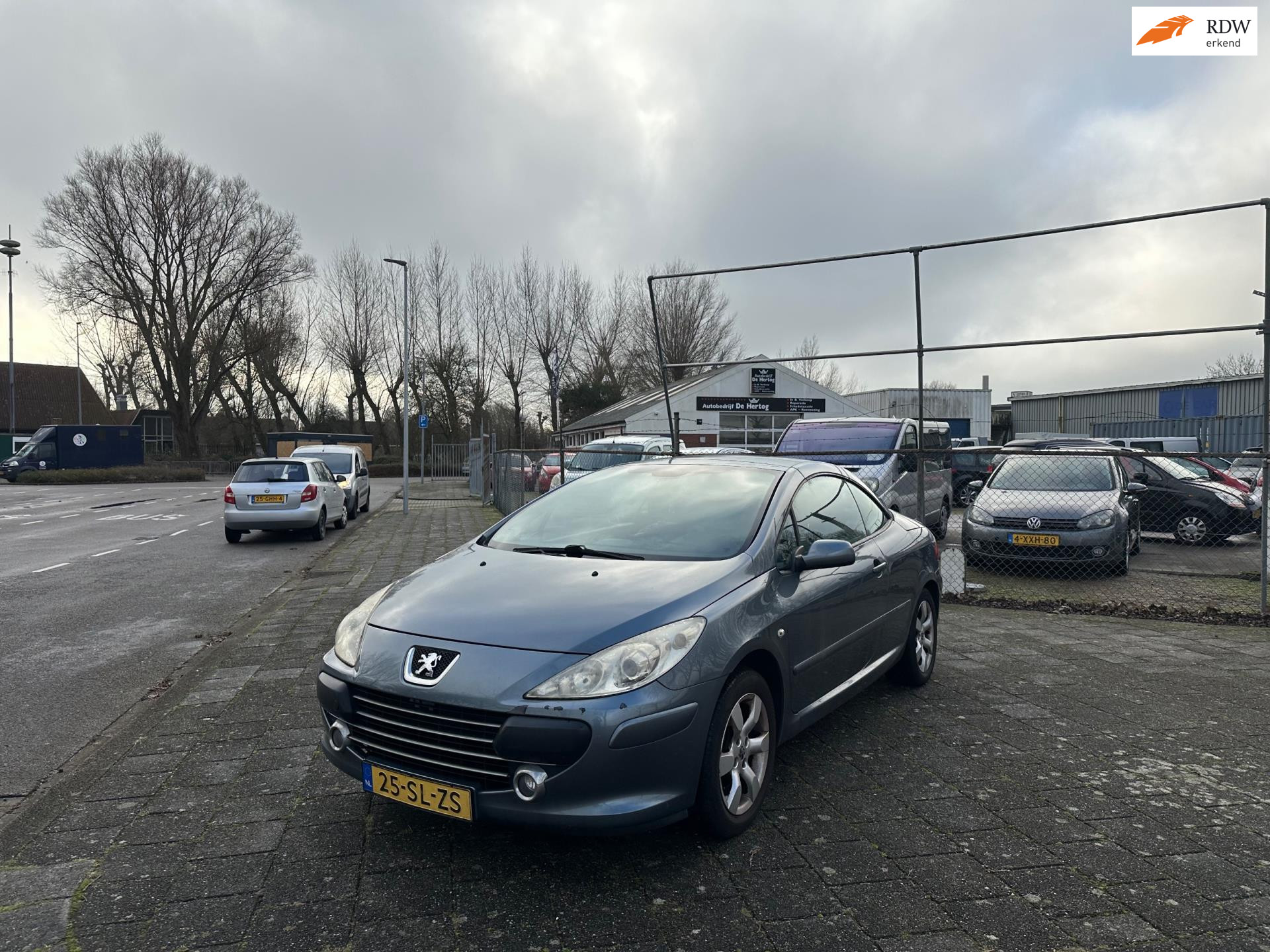 Foto van PEUGEOT 307