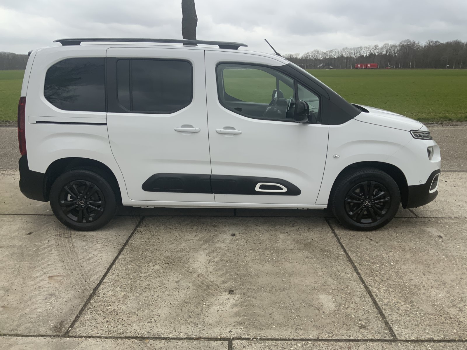 Inspectiefoto van Citroen Berlingo