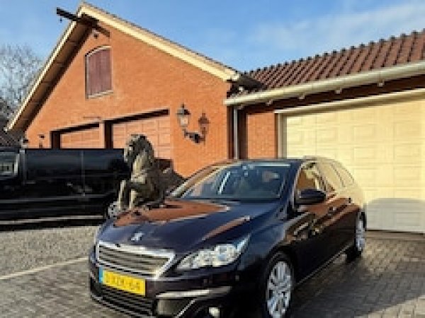 Foto van Peugeot 308