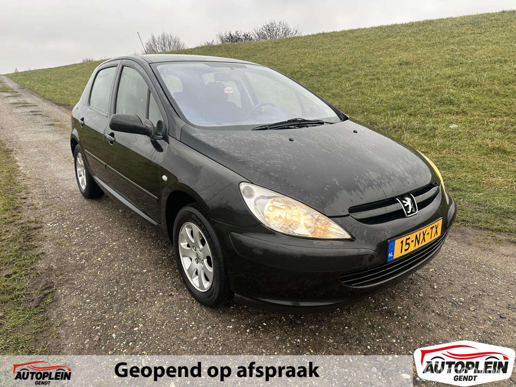 Foto van PEUGEOT 307