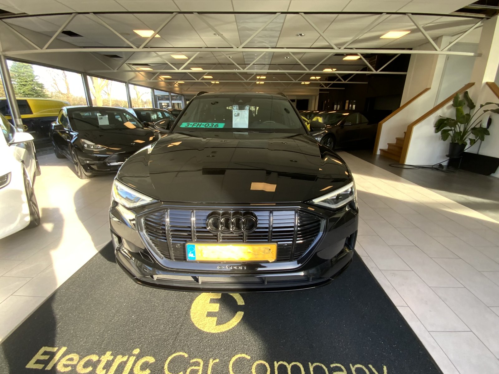 Inspectiefoto van Audi E-tron